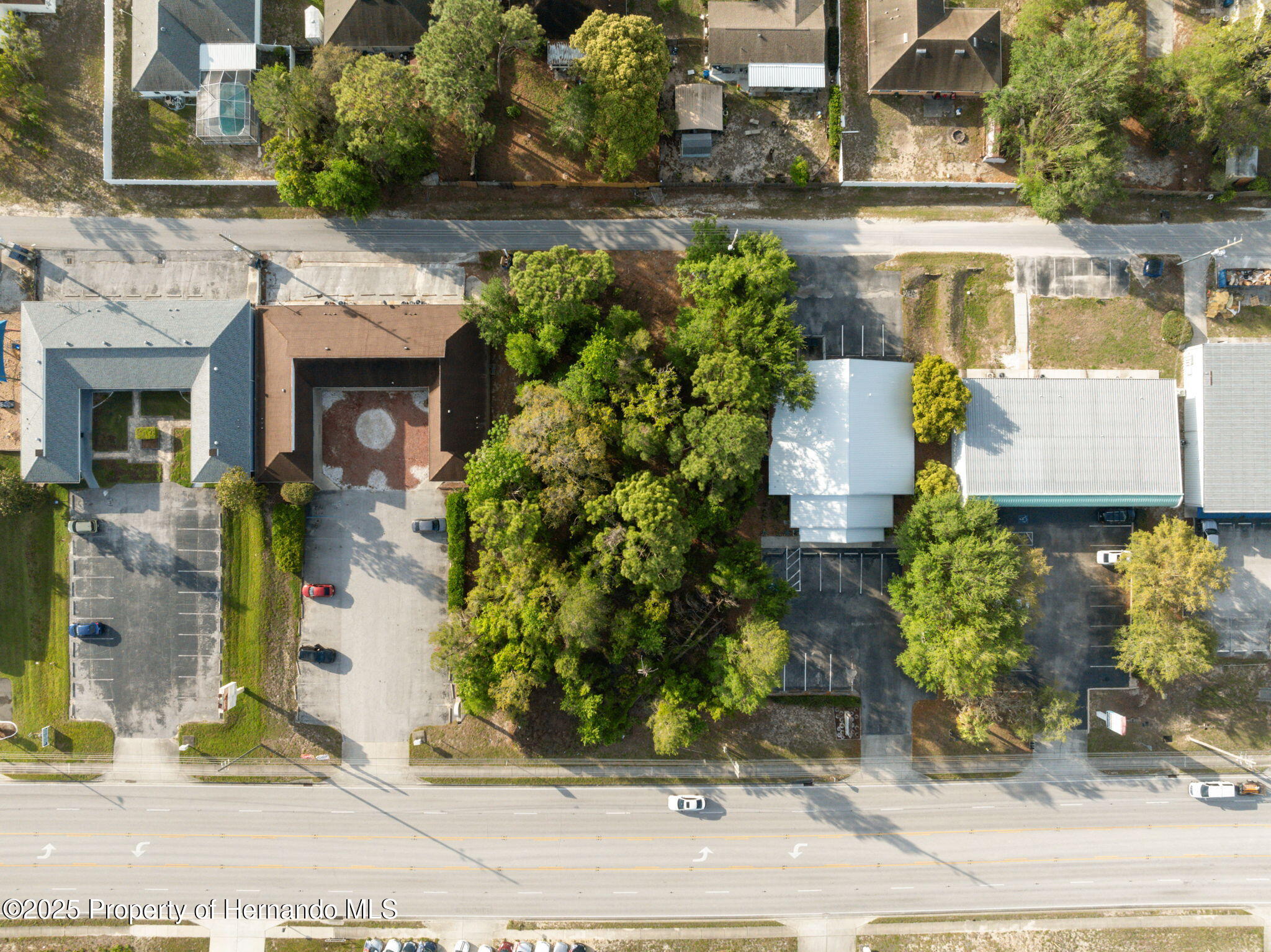 13182 Spring Hill Drive, Spring Hill, Florida image 4