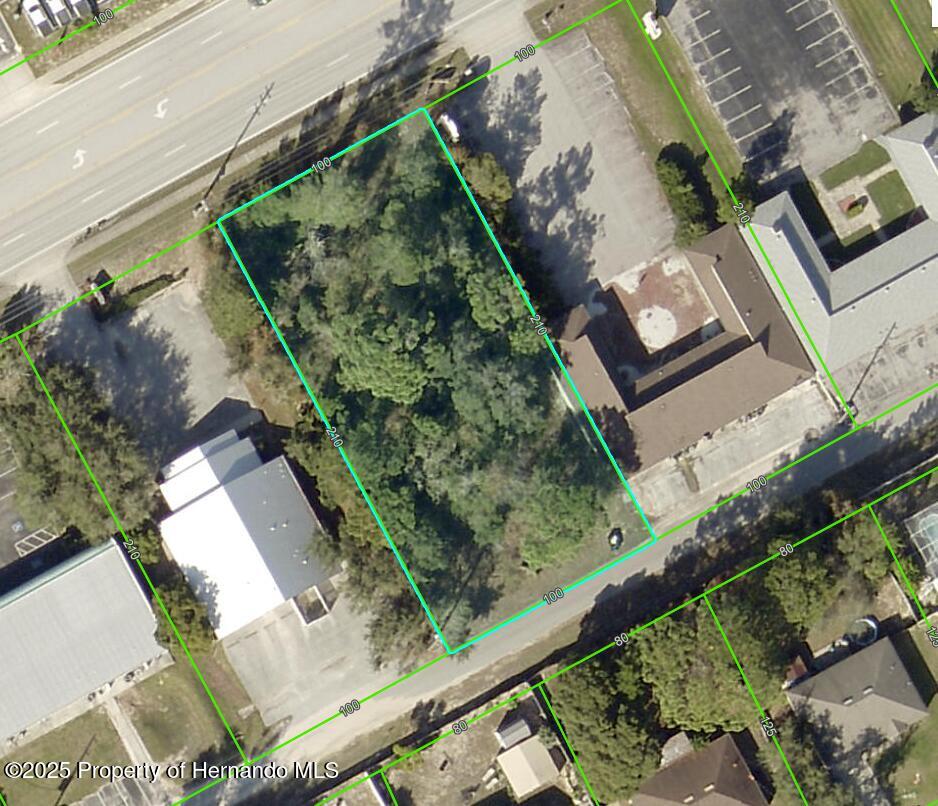 13182 Spring Hill Drive, Spring Hill, Florida image 2