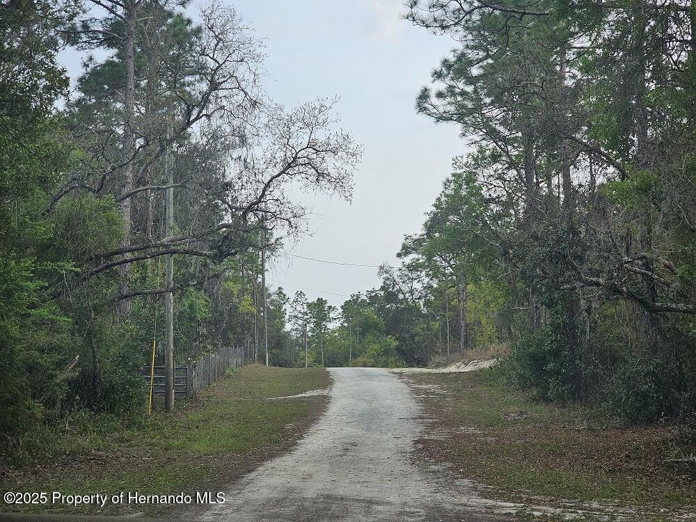 Colonel Avenue, Webster, Florida image 1