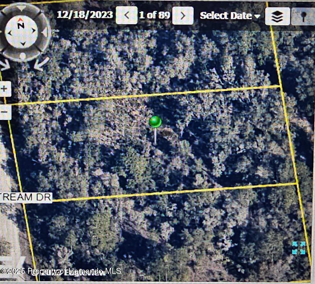 8130 Shellstream Drive, Webster, Florida image 2