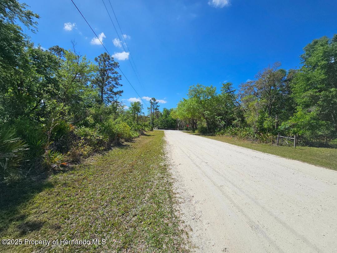 8130 Shellstream Drive, Webster, Florida image 3