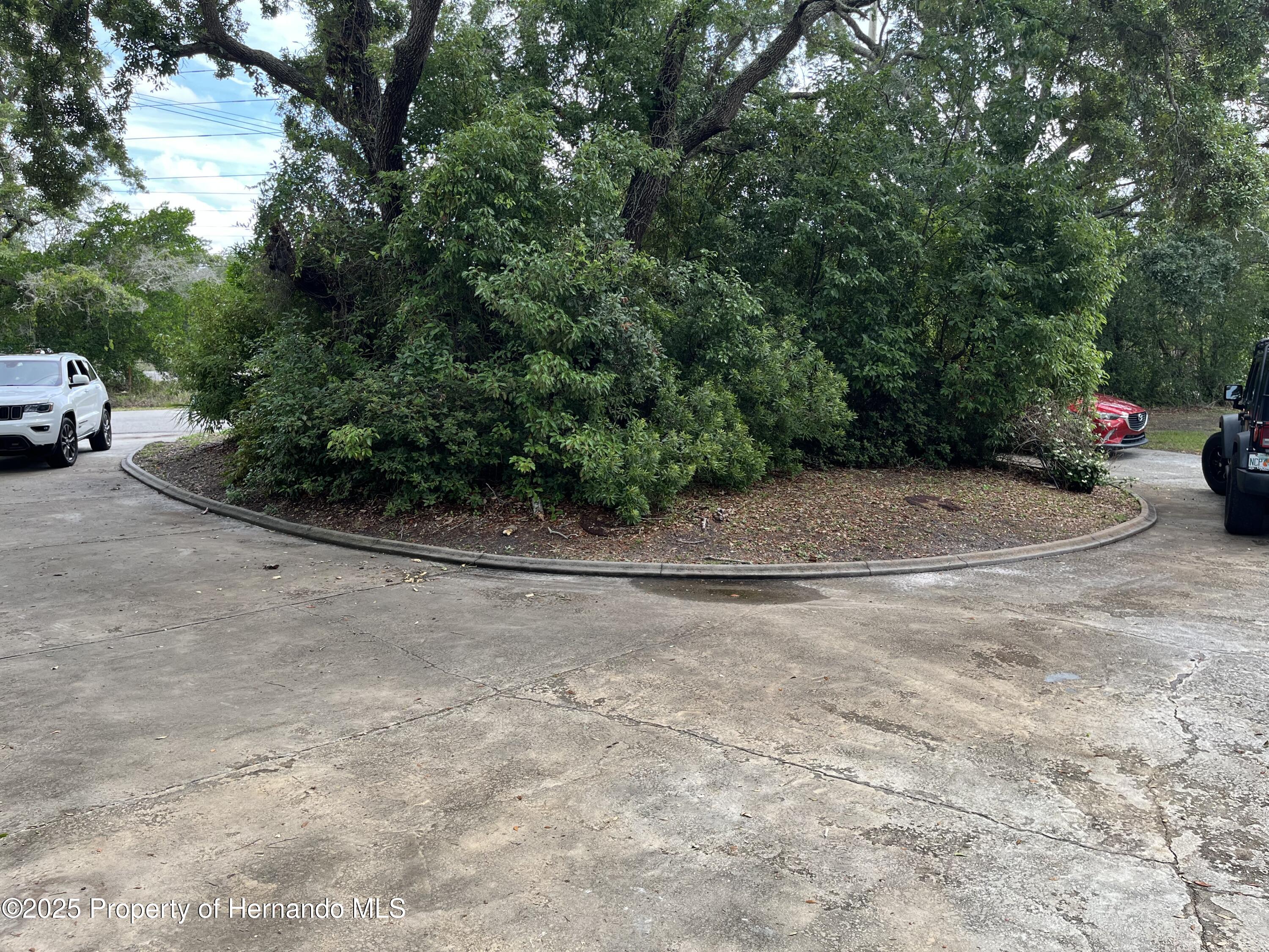 8005 Truce Circle, Spring Hill, Florida image 20