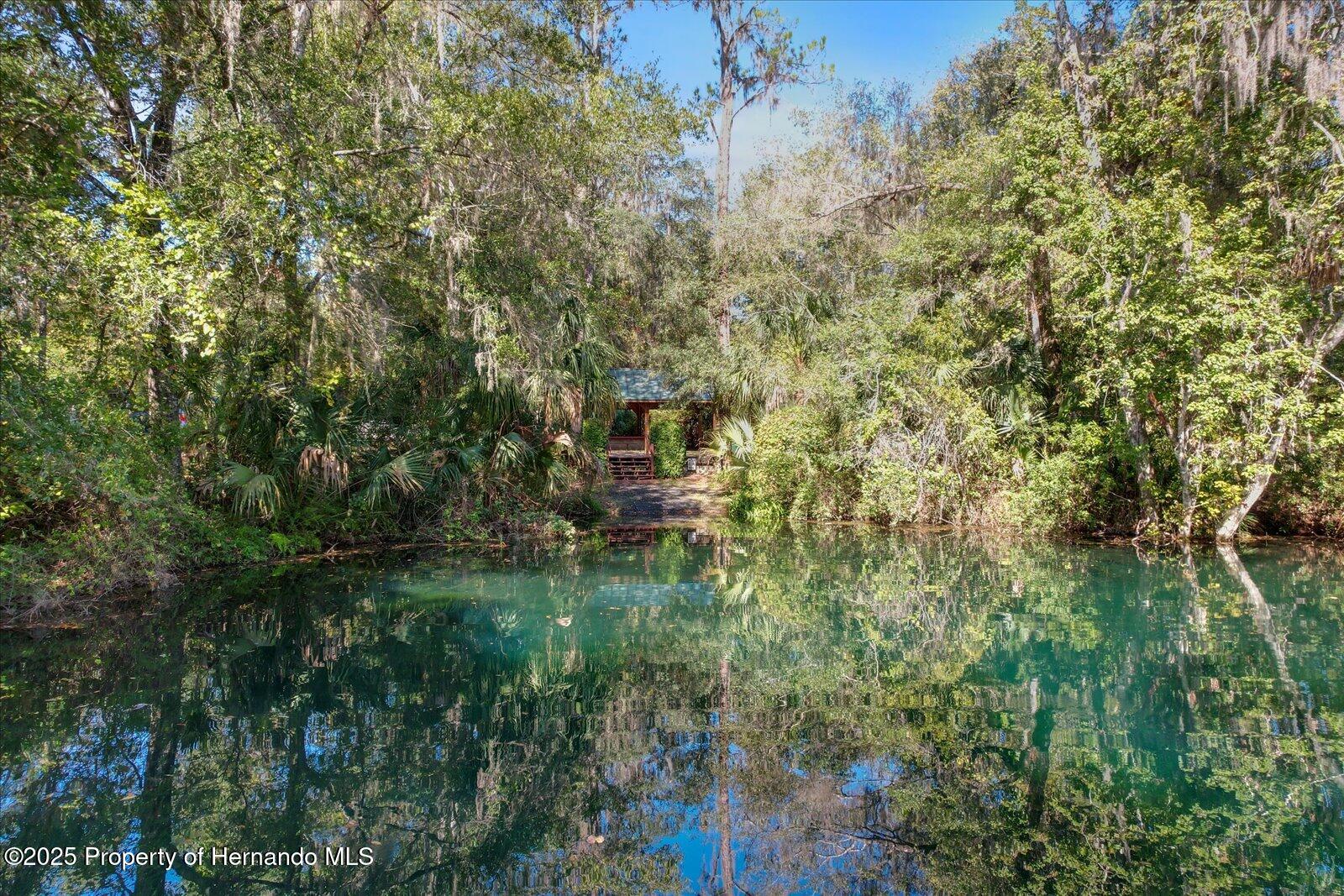 6373 E River Road, Hernando, Florida image 44