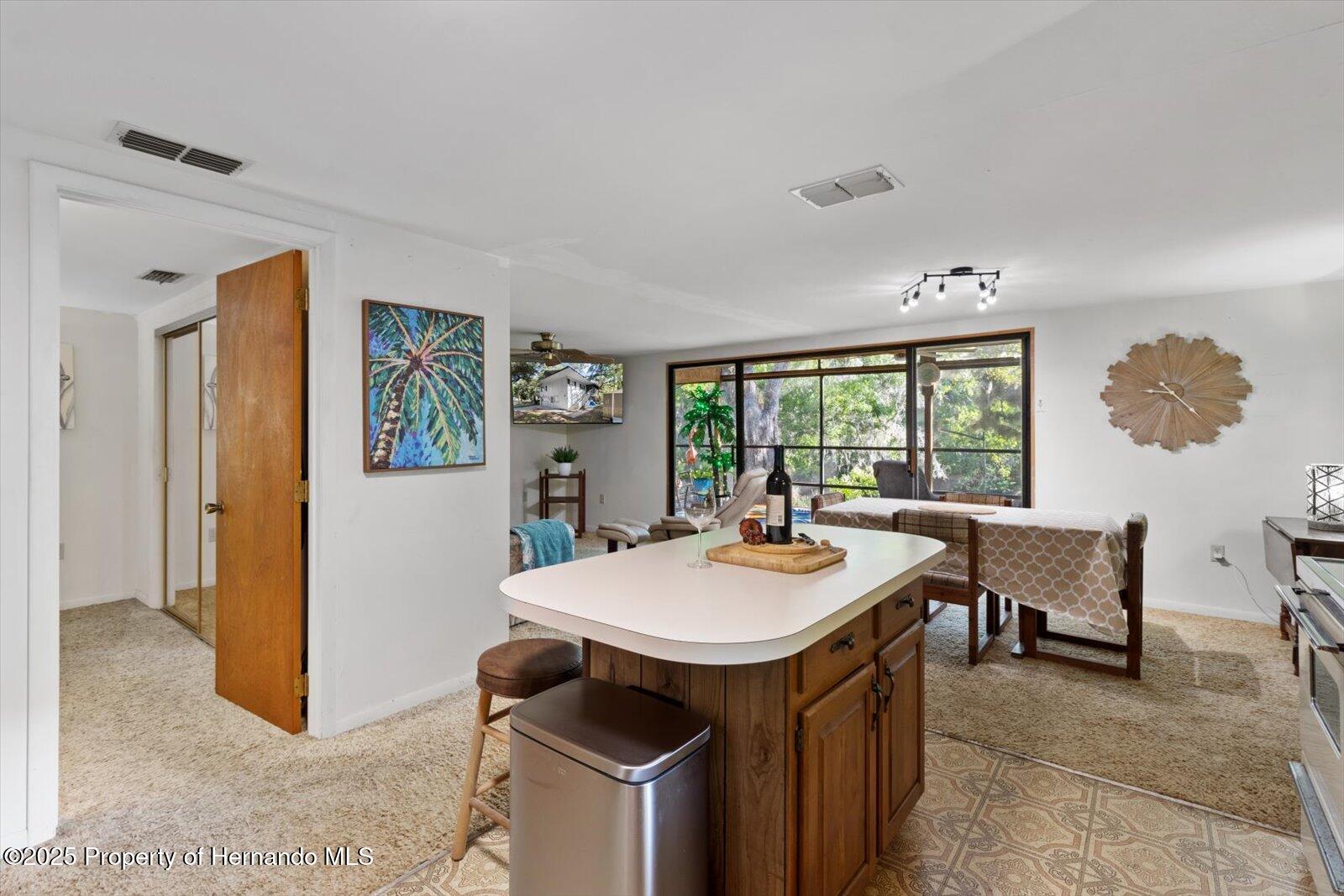 6373 E River Road, Hernando, Florida image 20