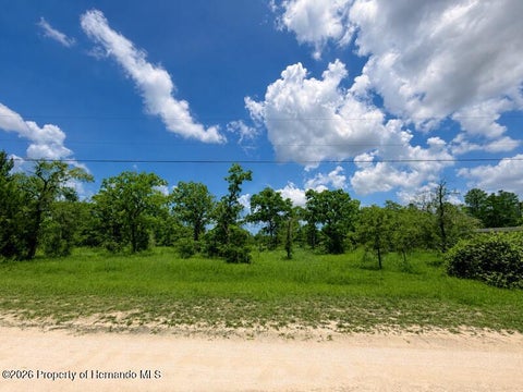 Vacant Land For Sale - Fulmar Road<br/> Weeki Wachee, FL 34614