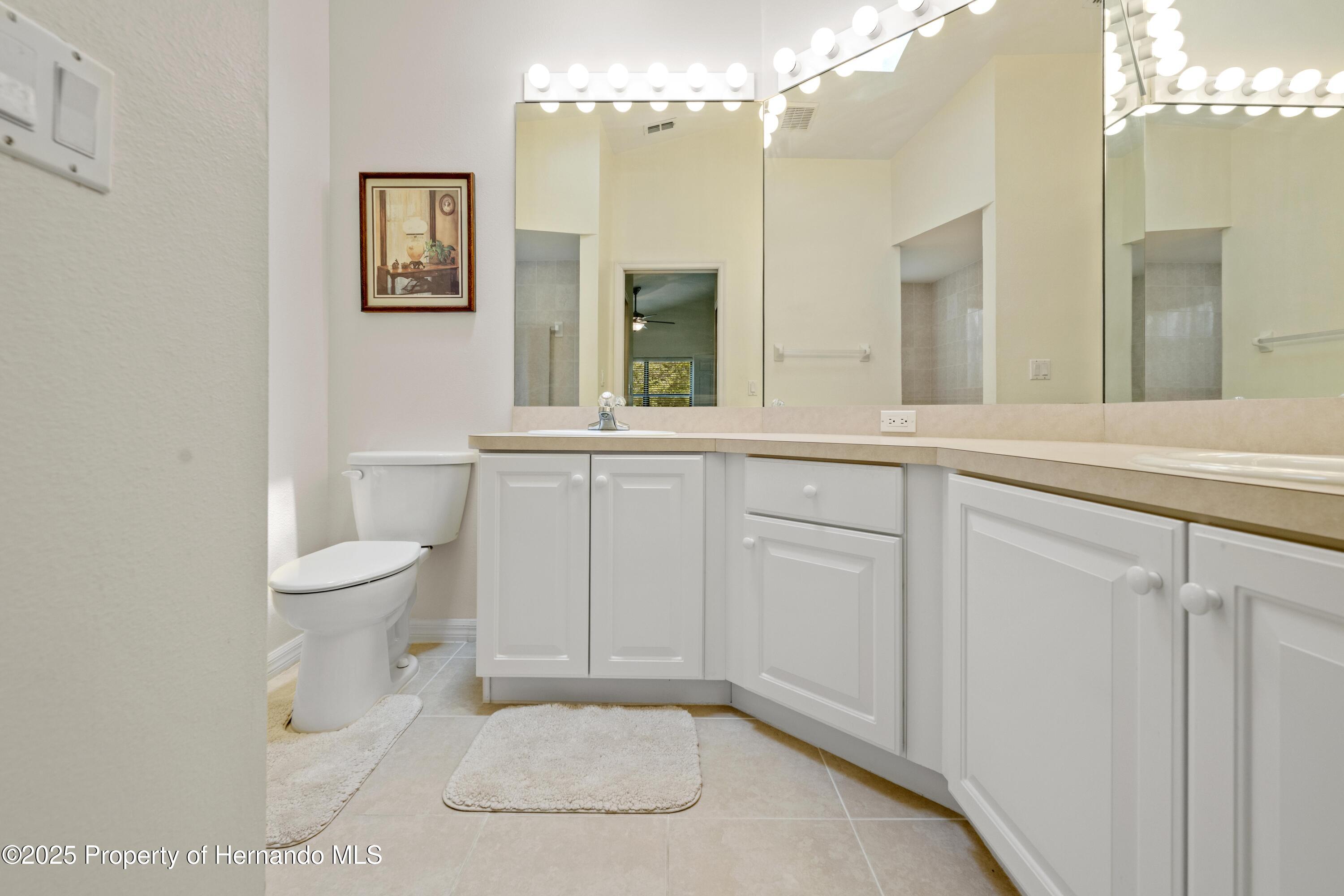 521 Bent Oak Court, Spring Hill, Florida image 47