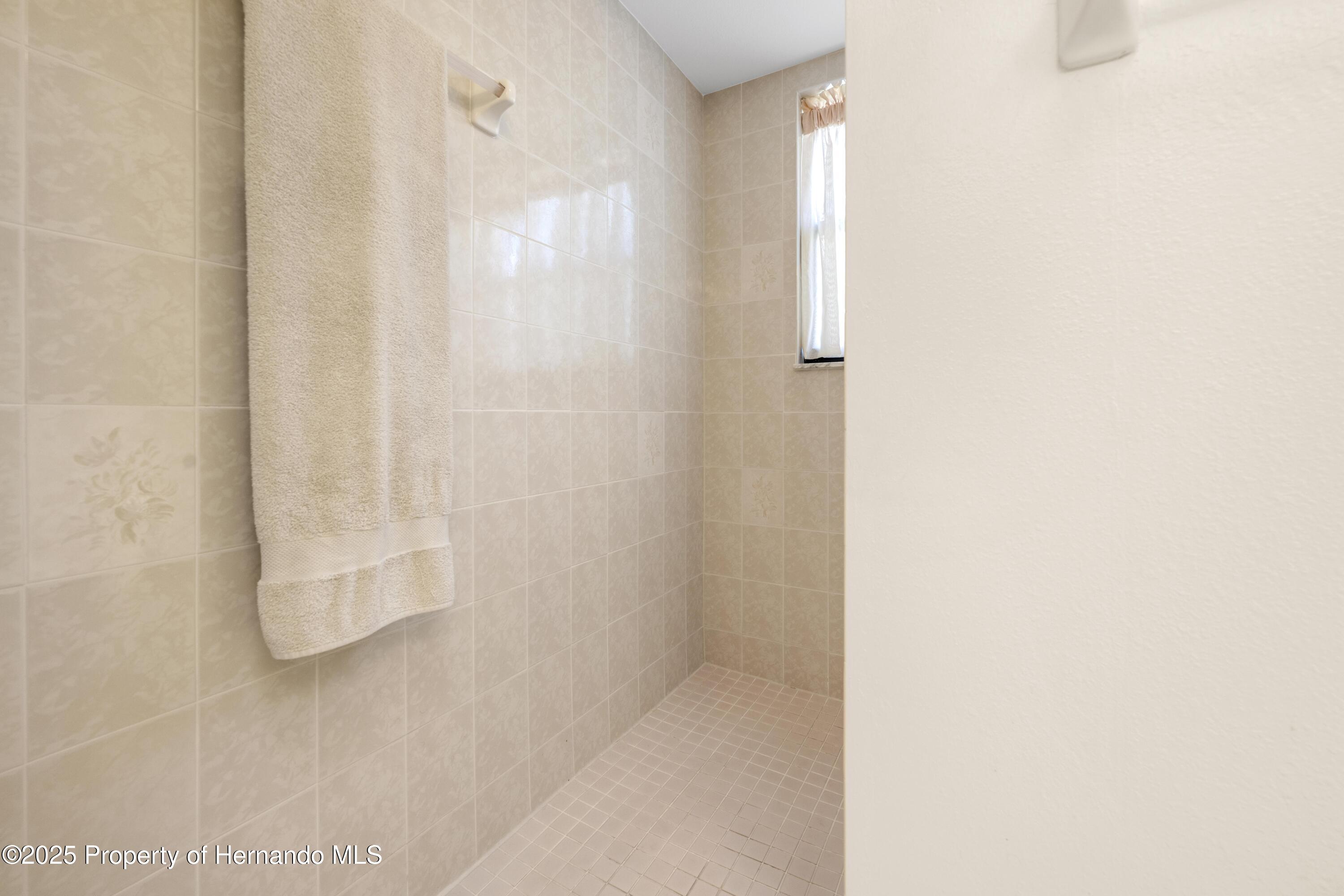 521 Bent Oak Court, Spring Hill, Florida image 49