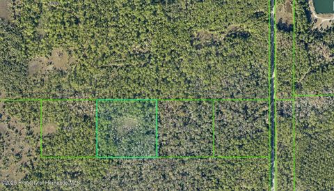 Vacant Land For Sale - Shoal Line Boulevard<br/> HERNANDO BEACH, FL 34607