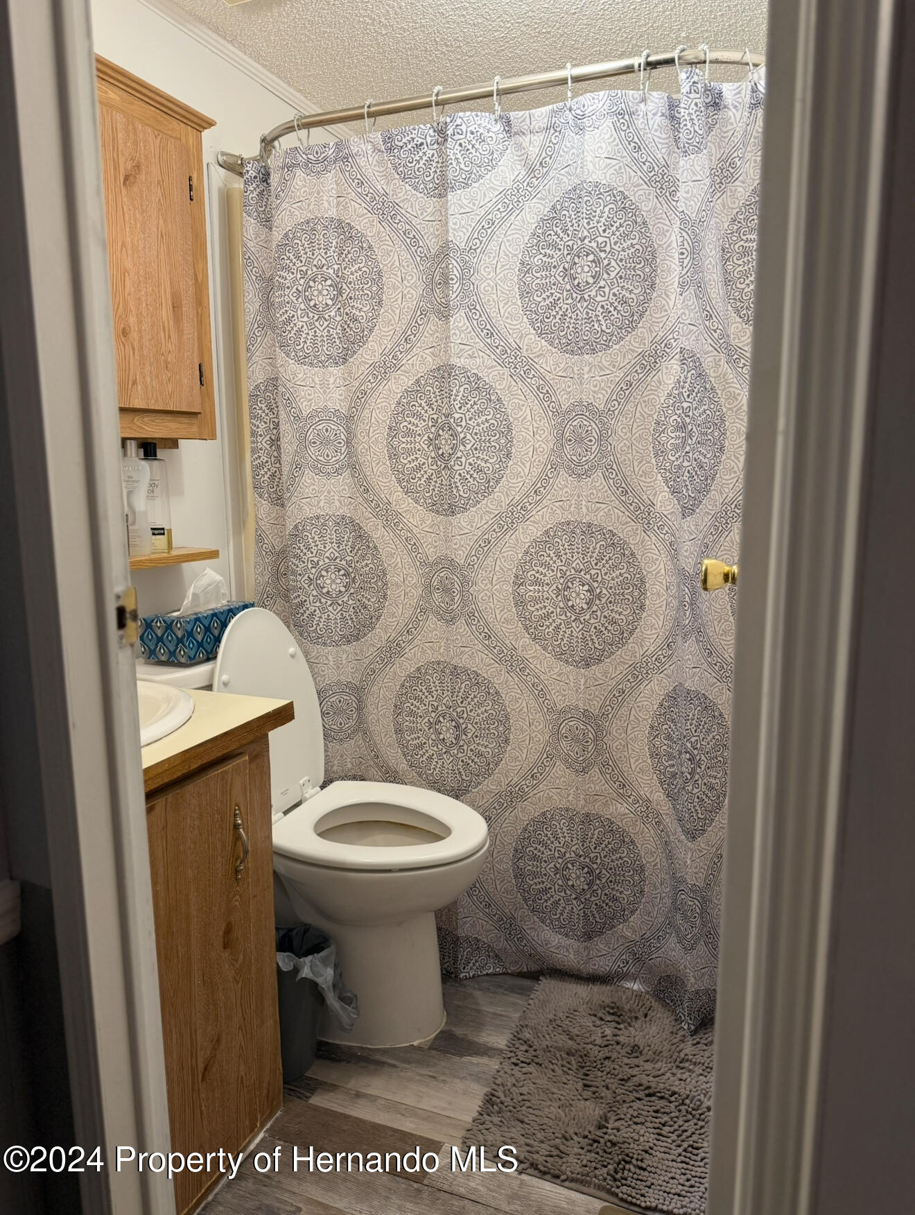 9308 Stingray Drive, Weeki Wachee, Florida image 14