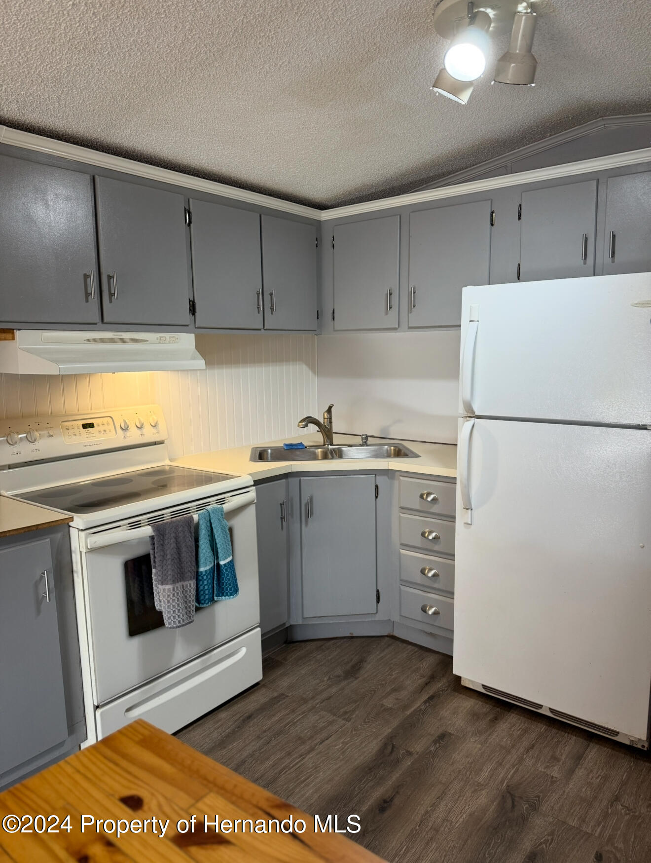 9308 Stingray Drive, Weeki Wachee, Florida image 3