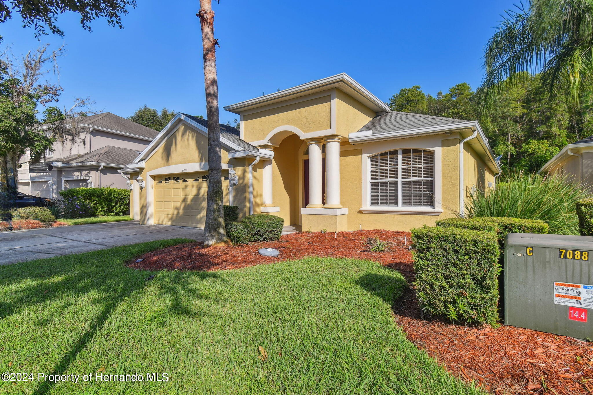 10711 Pearl Berry Loop, LAND O LAKES, Florida image 6