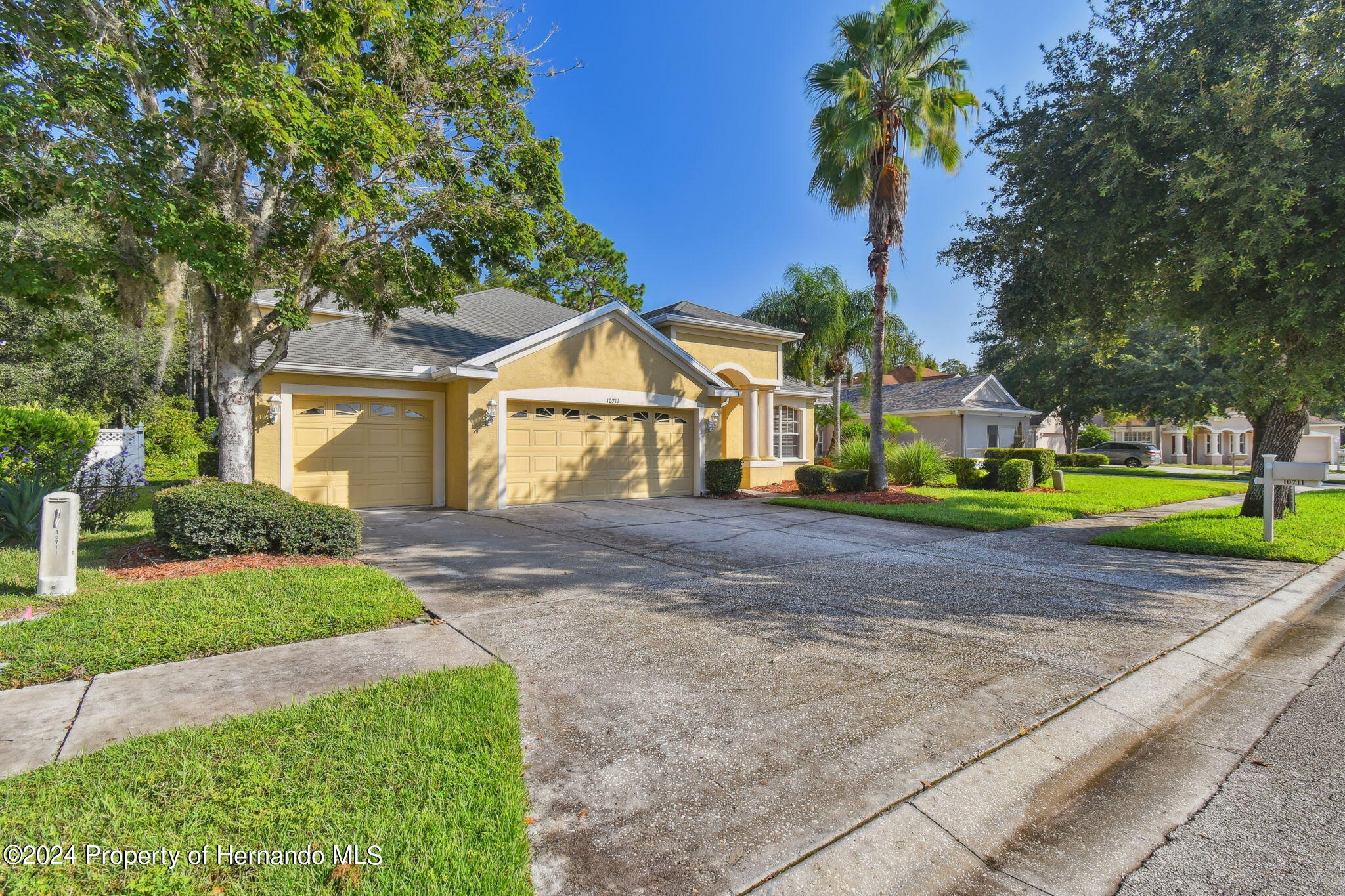 10711 Pearl Berry Loop, LAND O LAKES, Florida image 3