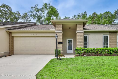 3017 Whispering Pines Court Spring Hill FL 34606