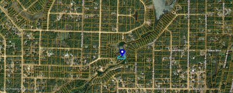 Vacant Land For Sale - Long Circle<br/> Webster, FL 33597