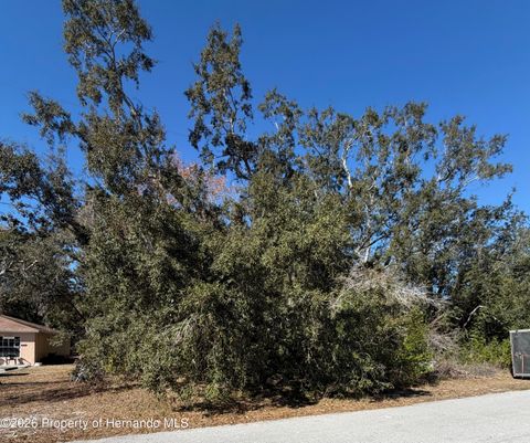 Vacant Land For Sale - Sylvia Avenue<br/> Spring Hill, FL 34606