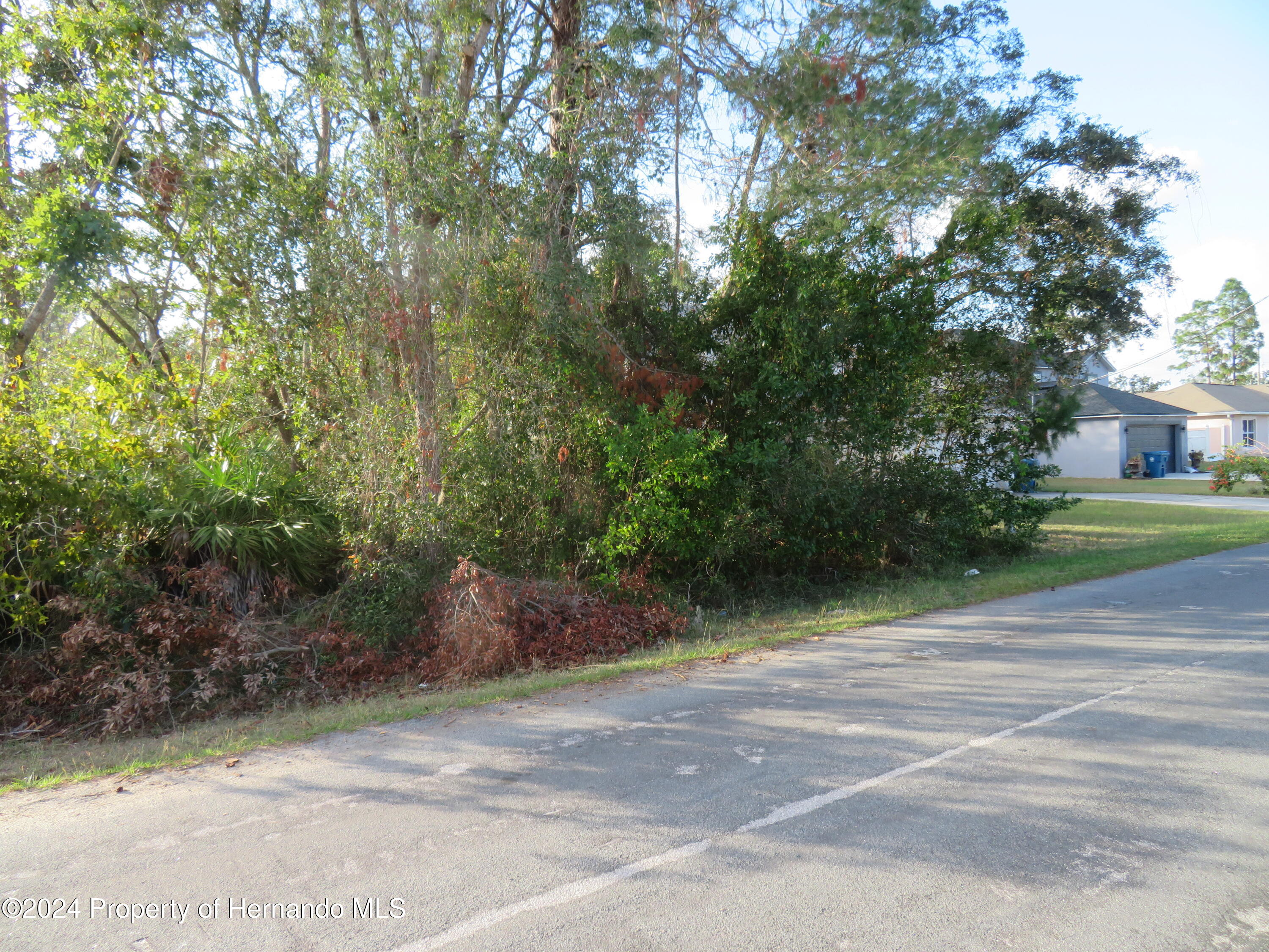 Tomahawk Avenue, Spring Hill, Florida image 1