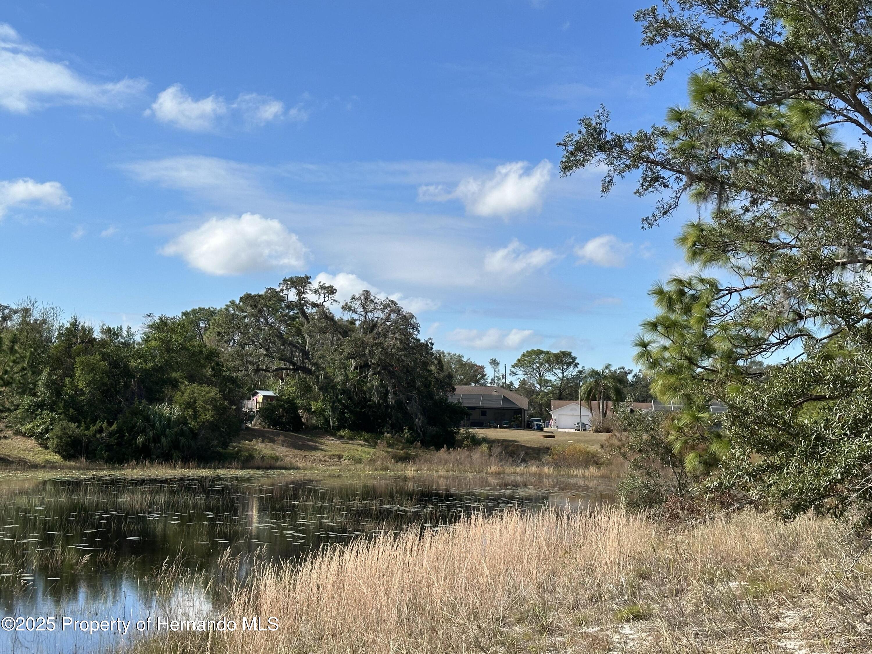 8362 Eric Street, Spring Hill, Florida image 14