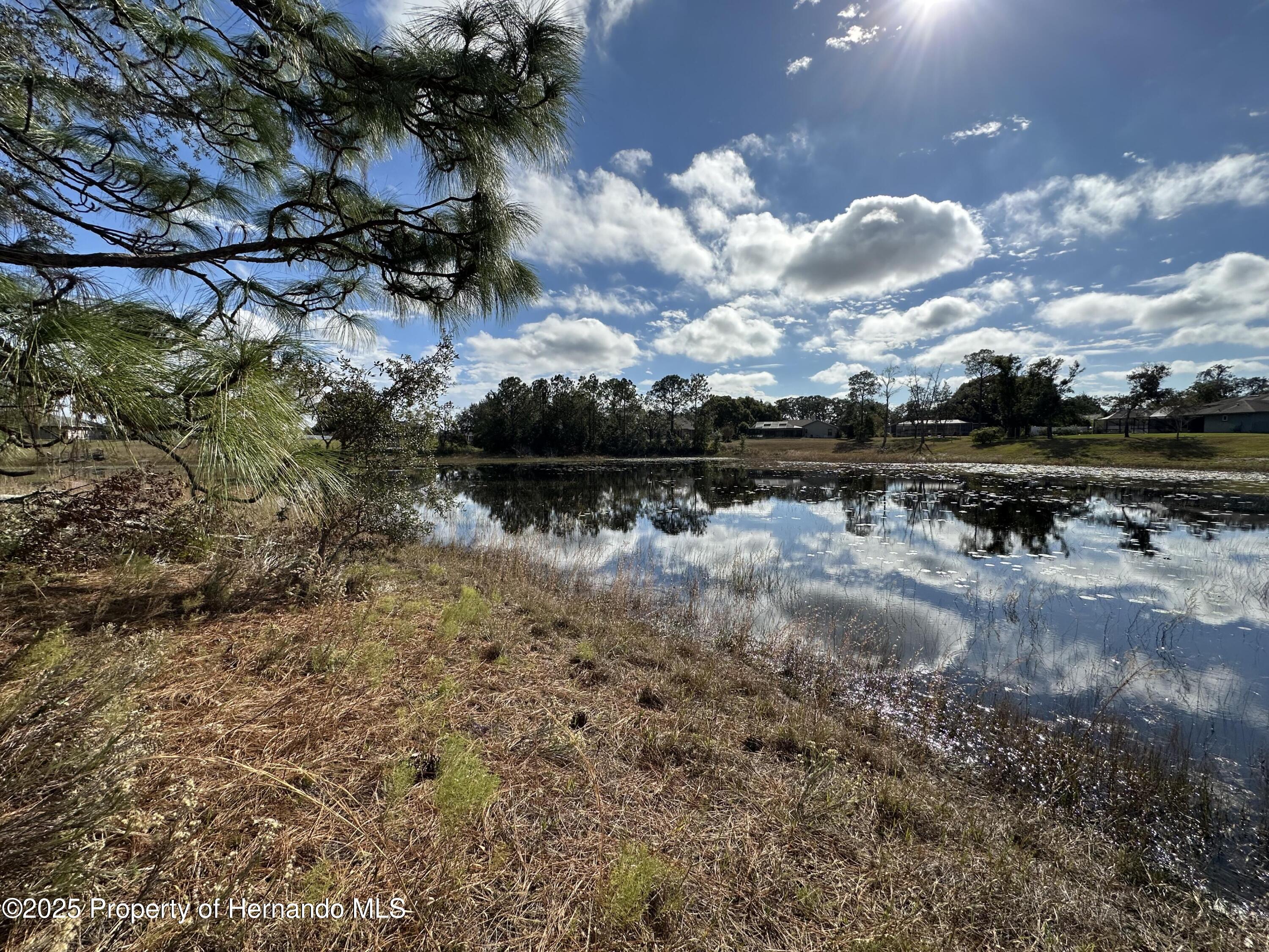 8362 Eric Street, Spring Hill, Florida image 8