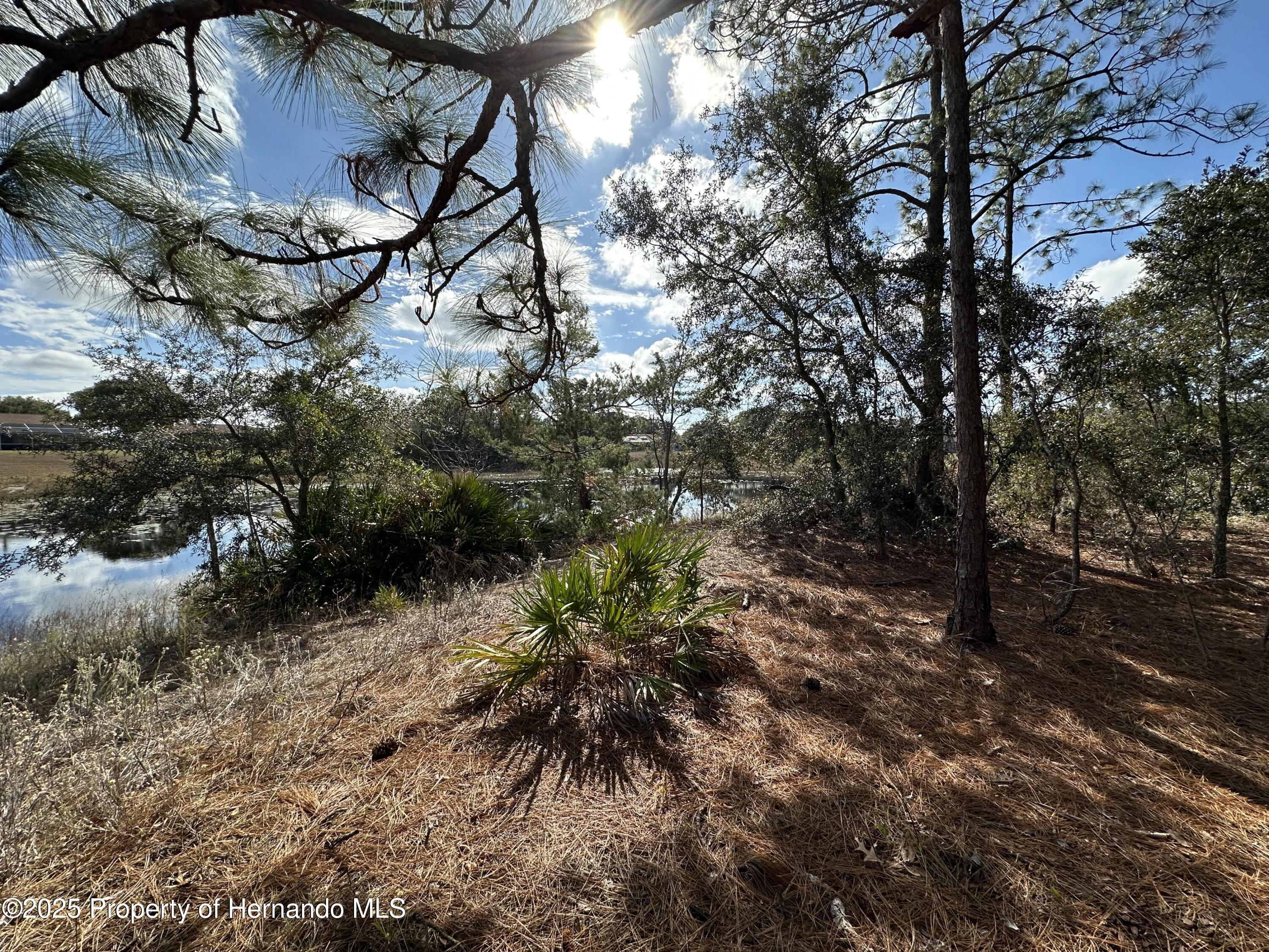 8362 Eric Street, Spring Hill, Florida image 9