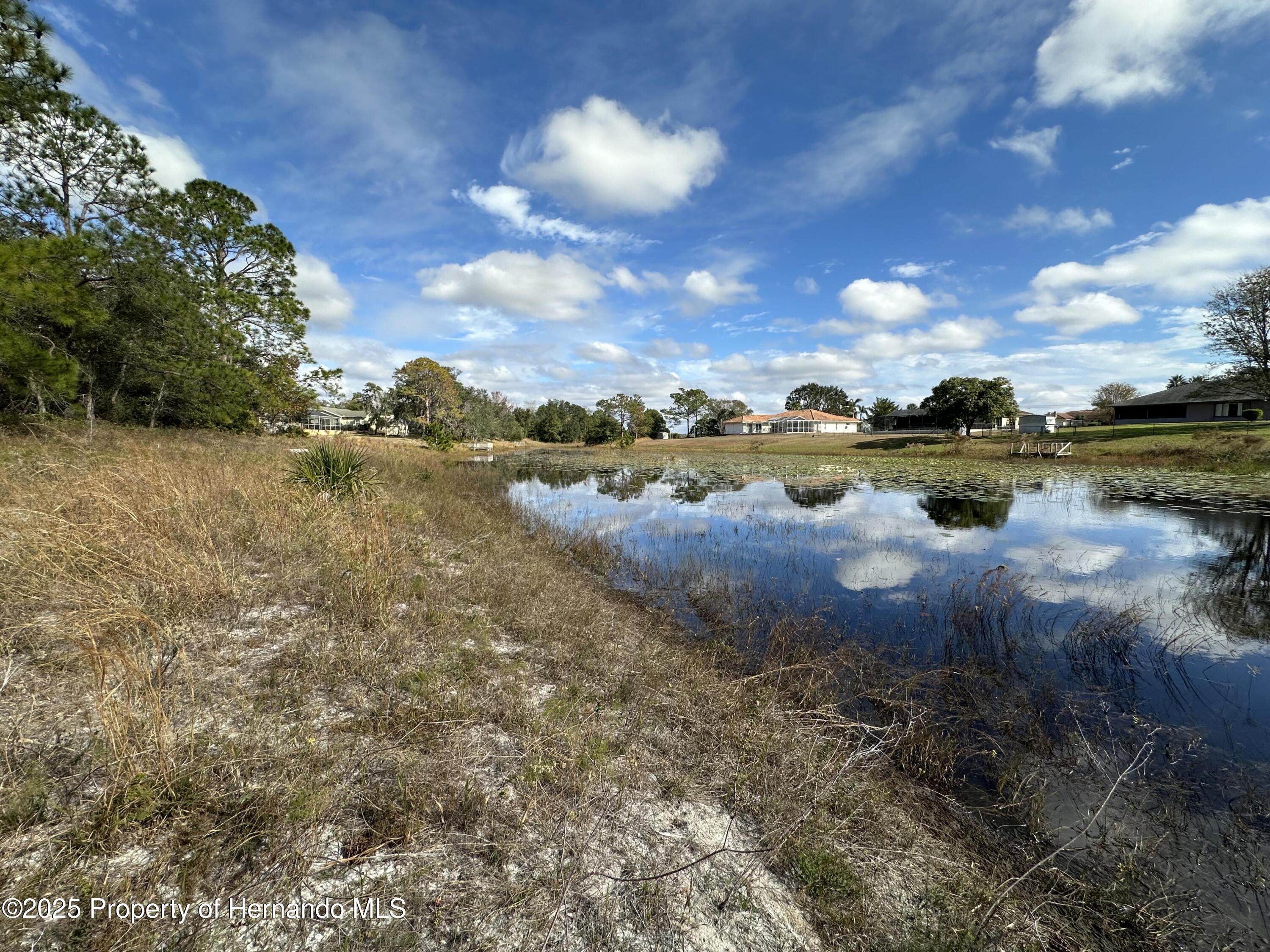 8362 Eric Street, Spring Hill, Florida image 15