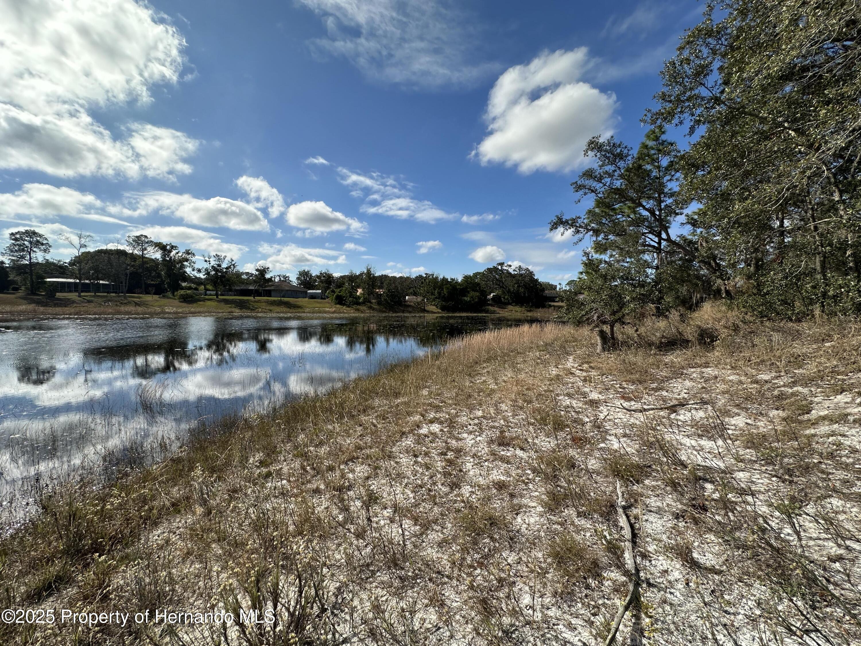 8362 Eric Street, Spring Hill, Florida image 12