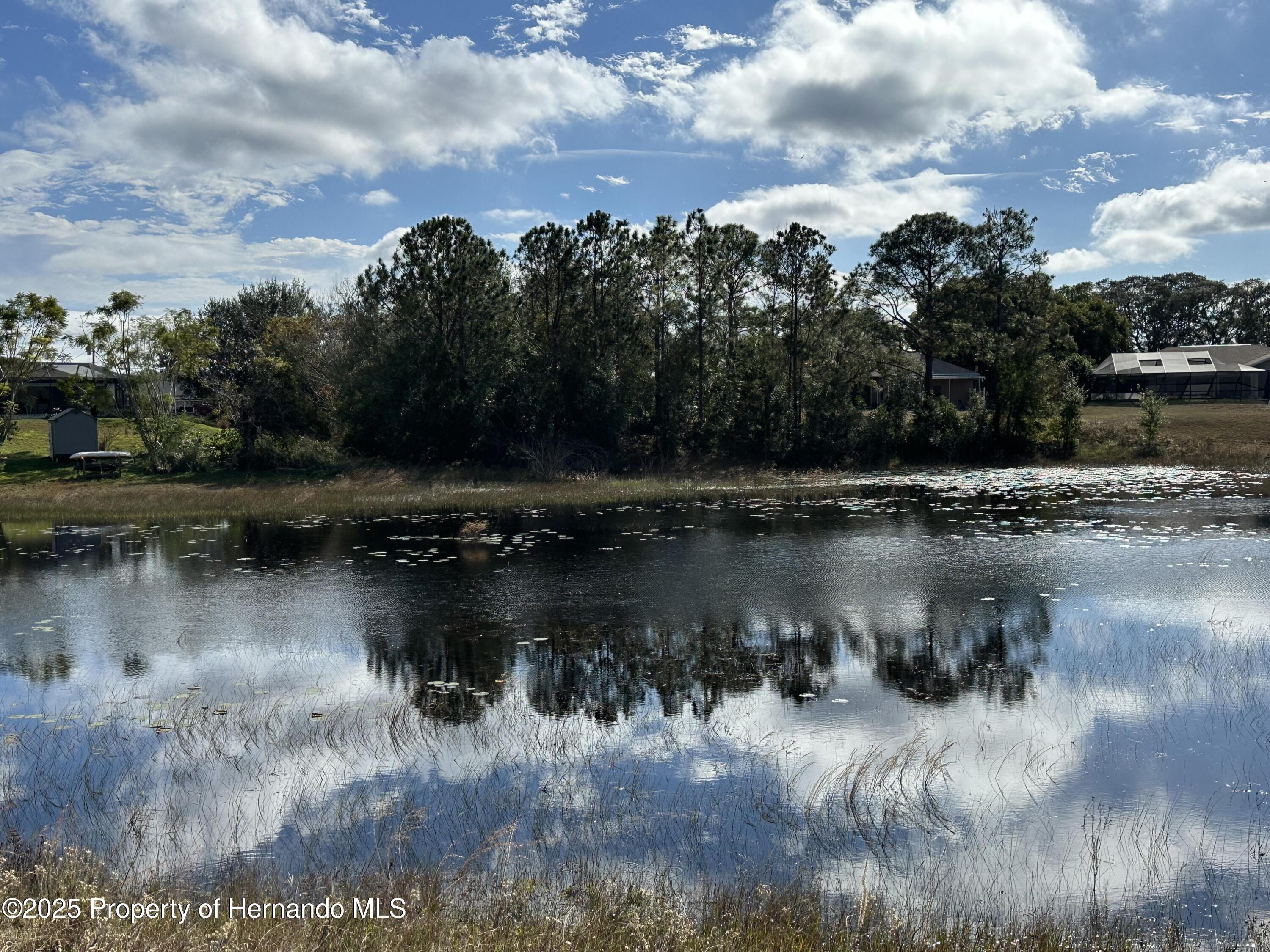 8362 Eric Street, Spring Hill, Florida image 11