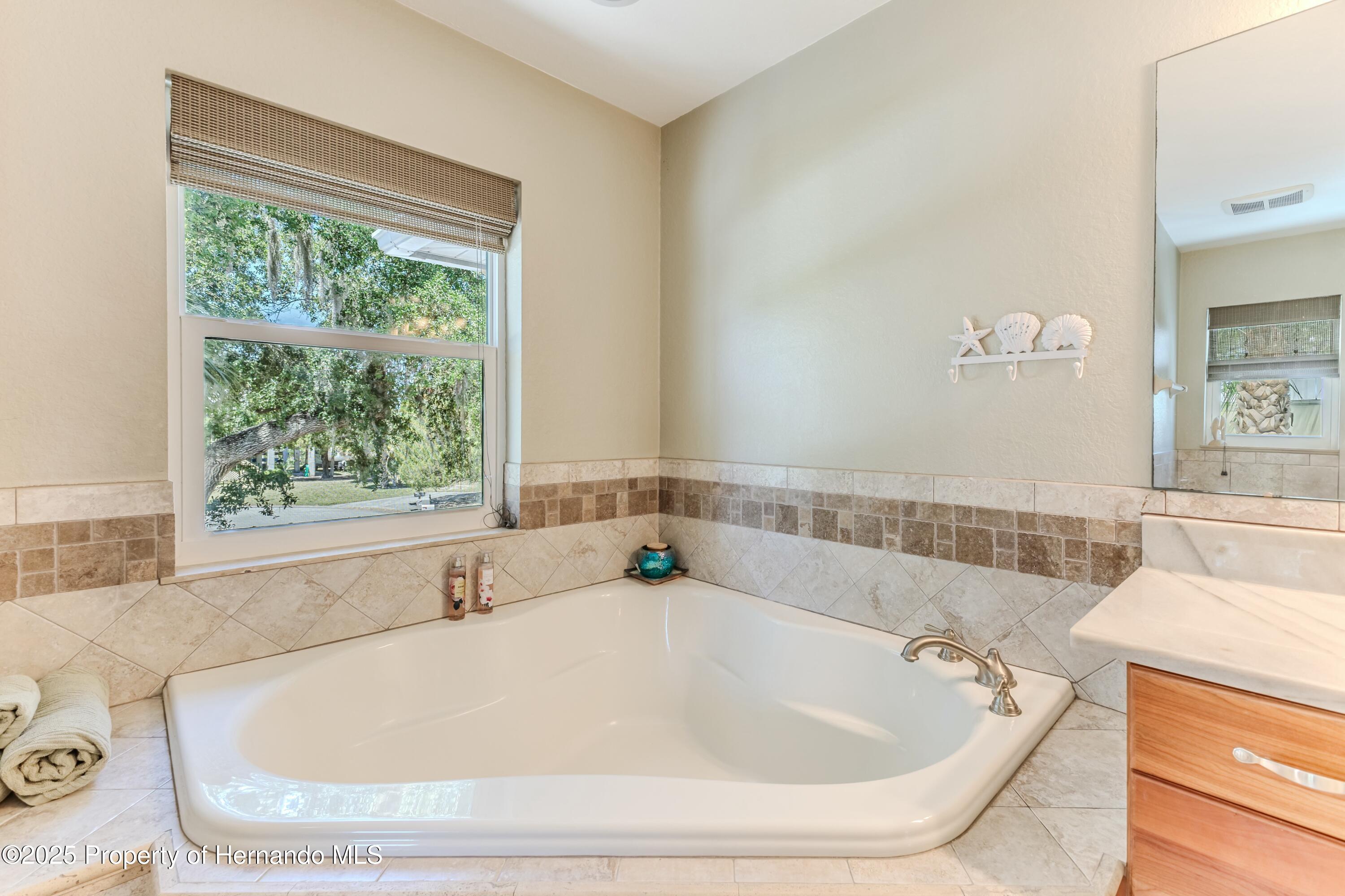 7106 Porpoise Street, Weeki Wachee, Florida image 39