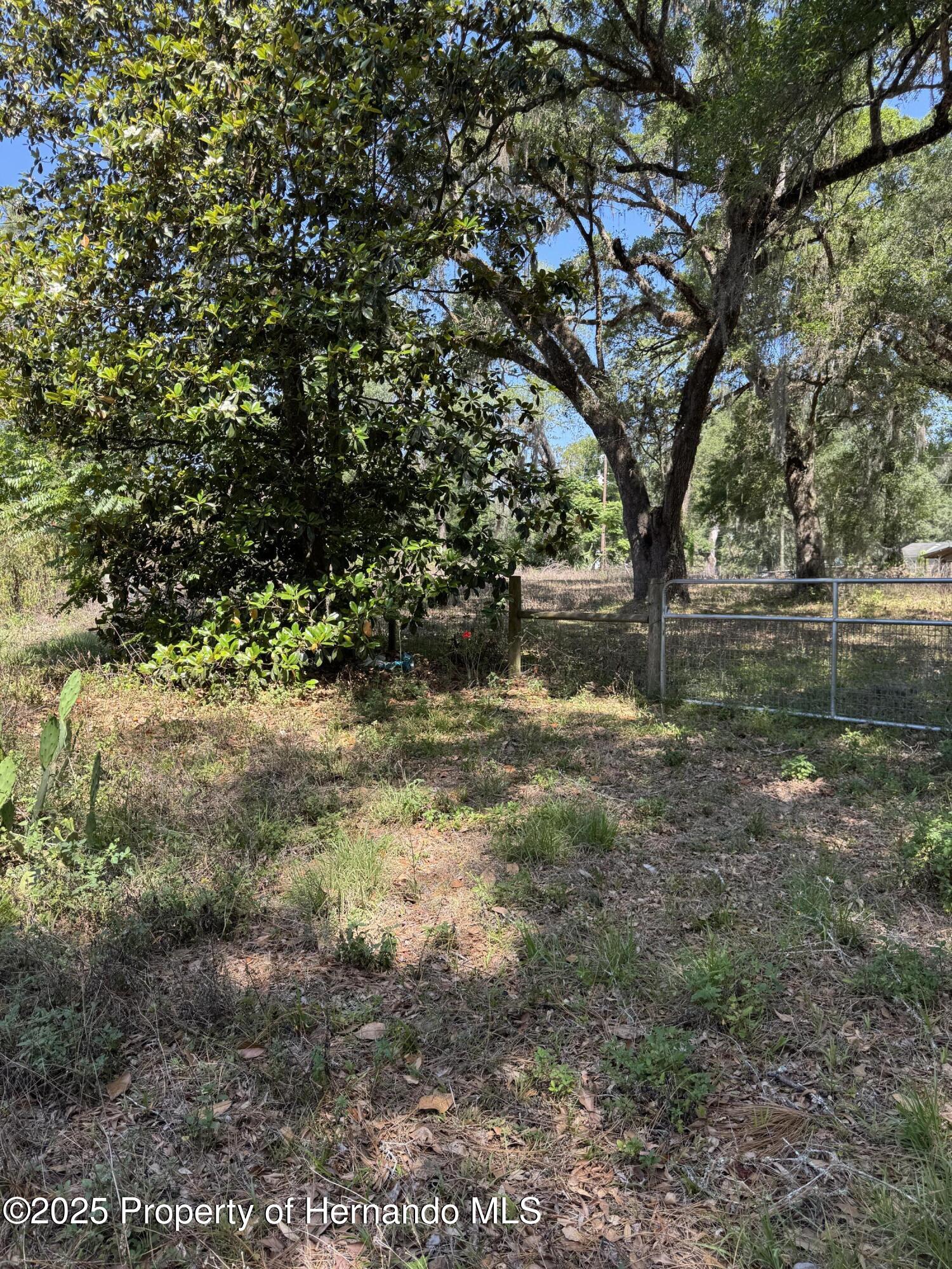 4266 County Road 691, Webster, Florida image 8