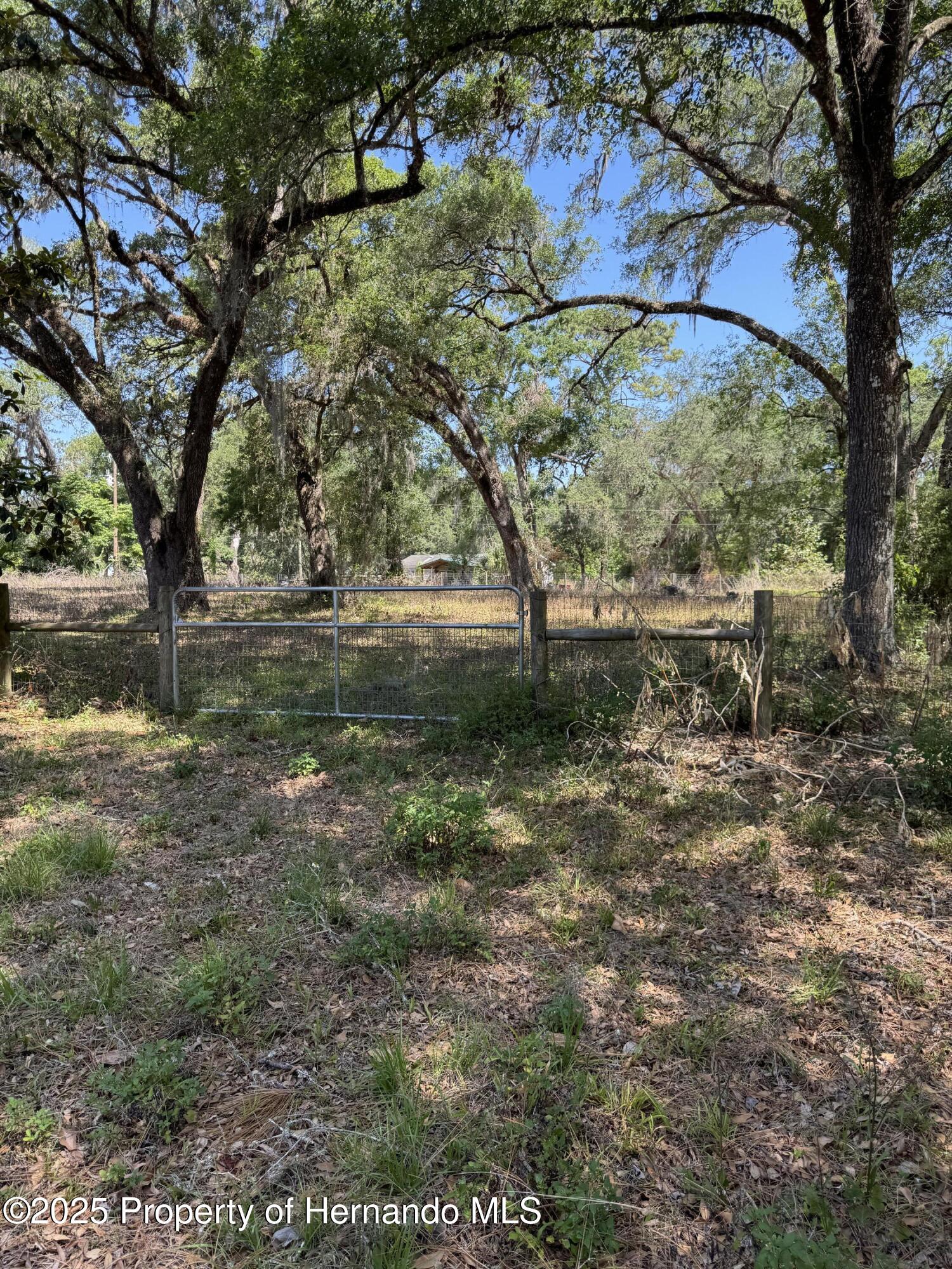 4266 County Road 691, Webster, Florida image 7