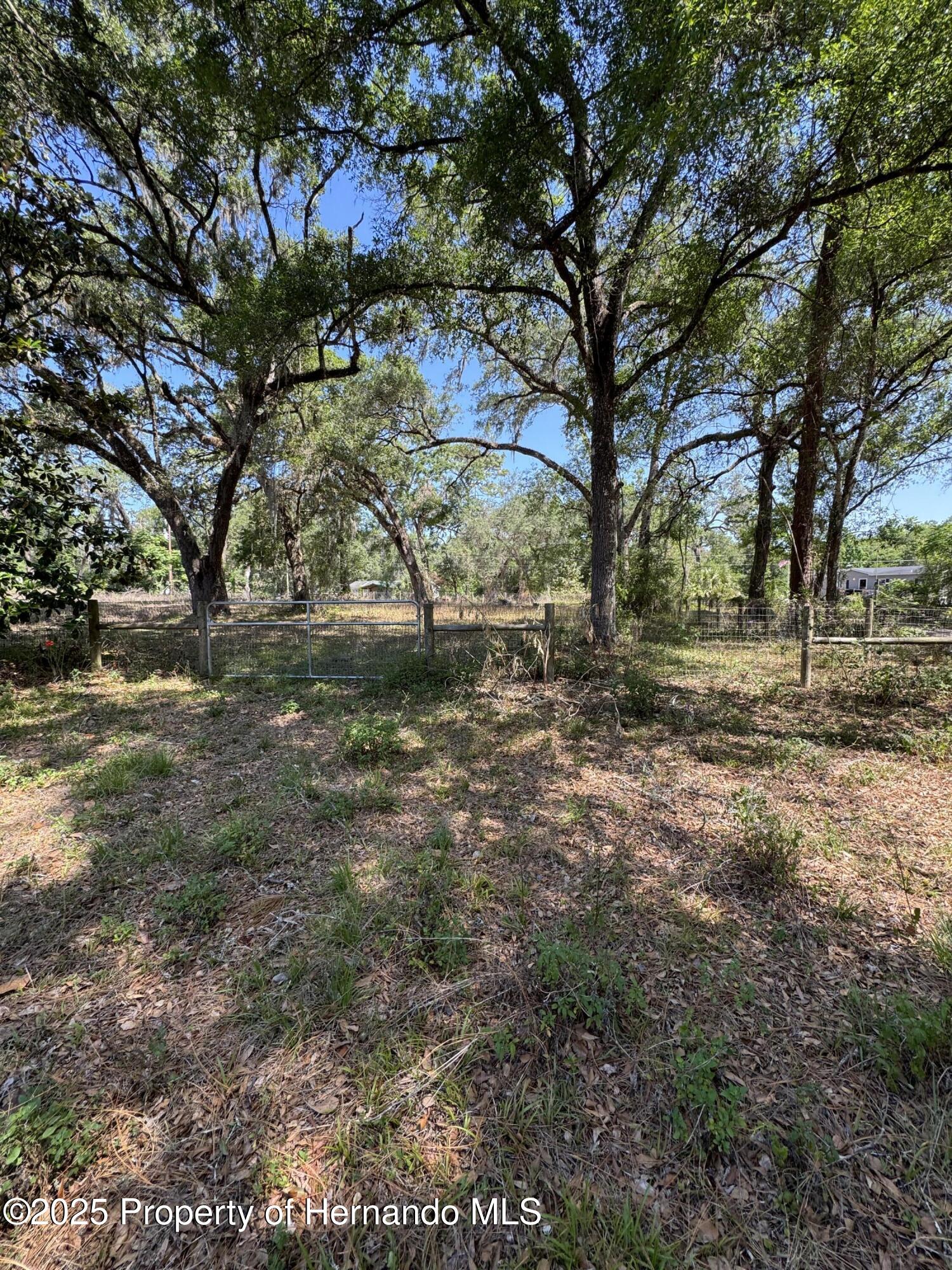 4266 County Road 691, Webster, Florida image 6