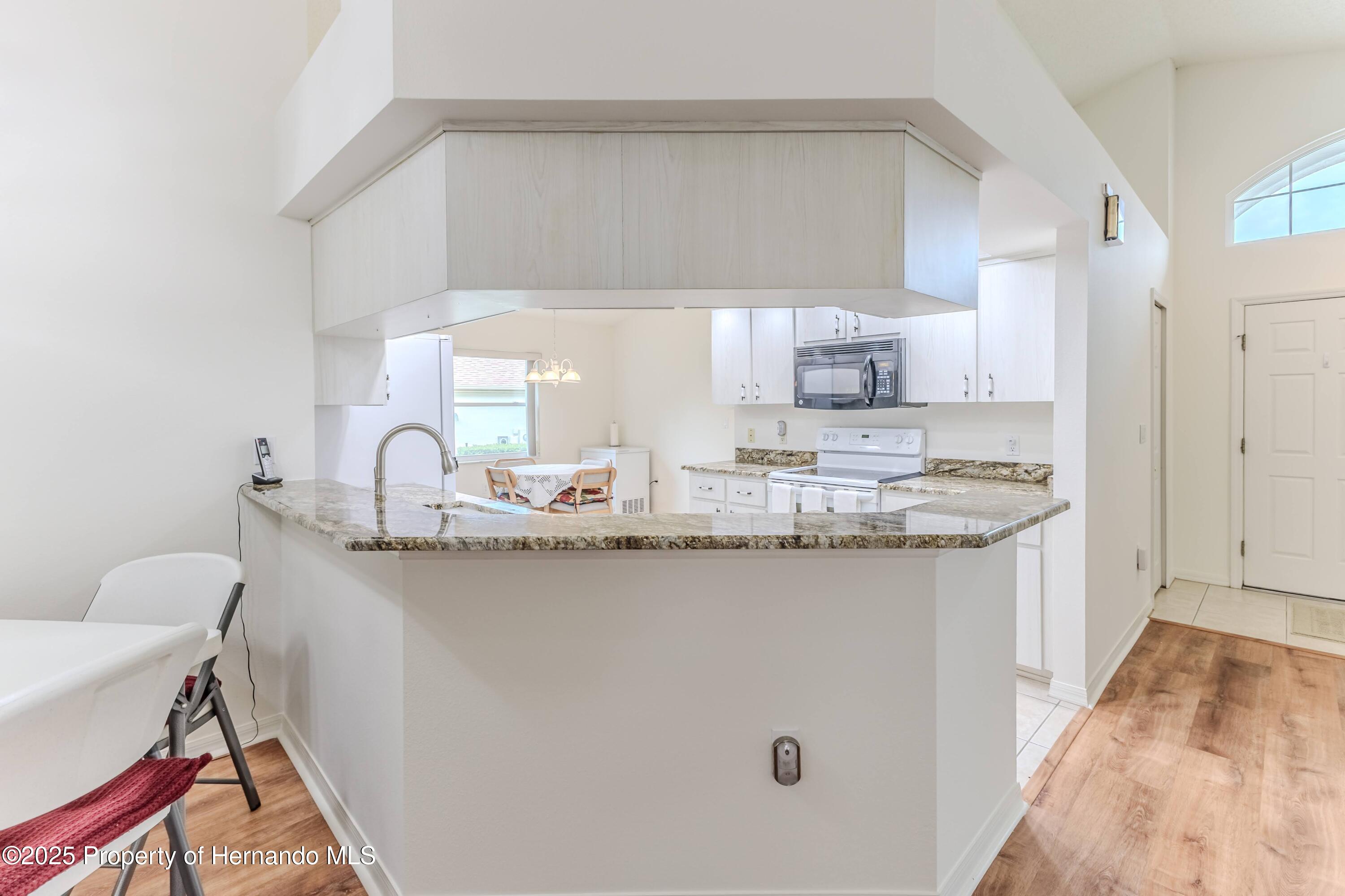 460 Wedgefield Drive, Spring Hill, Florida image 12