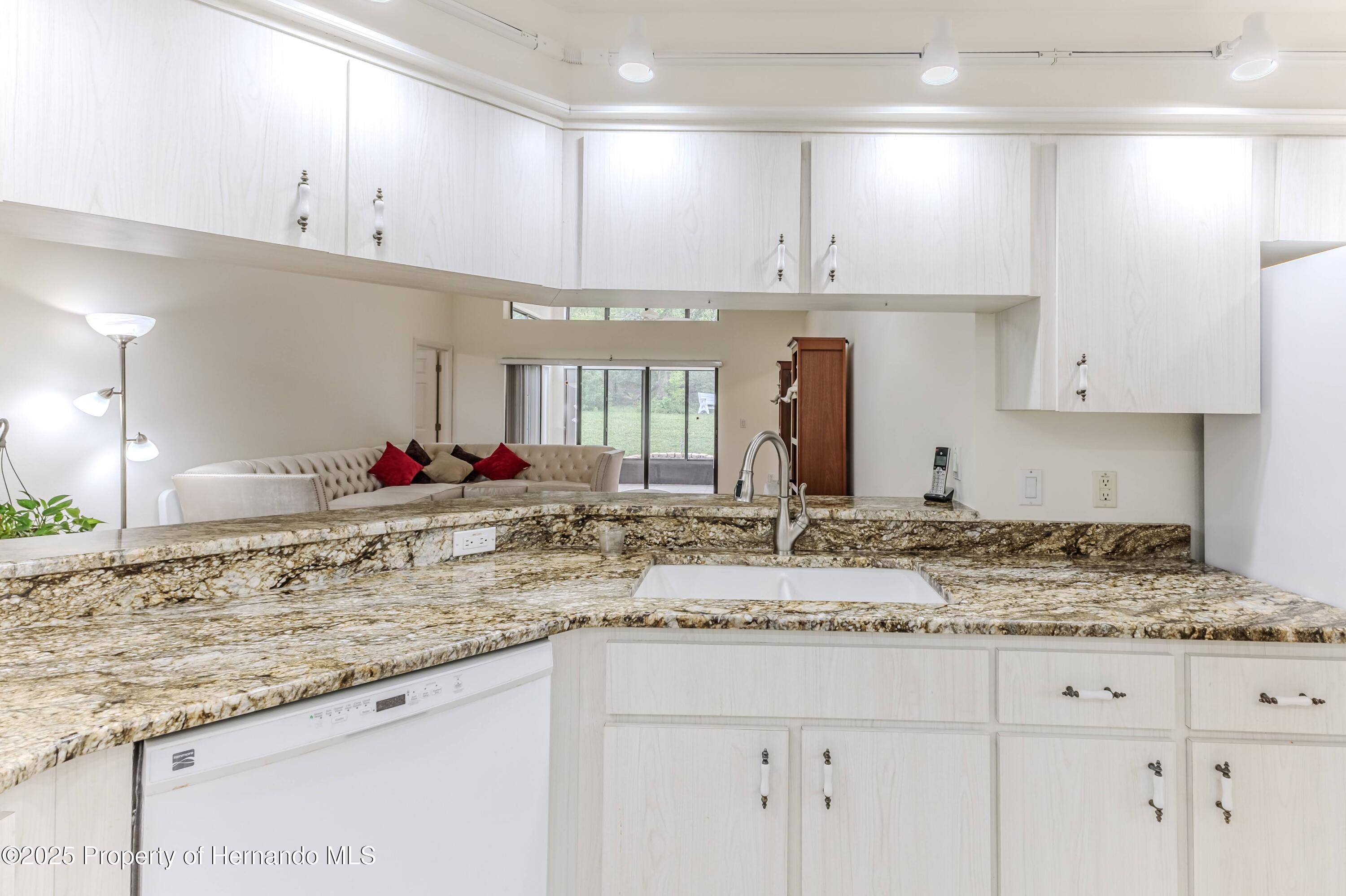 460 Wedgefield Drive, Spring Hill, Florida image 15