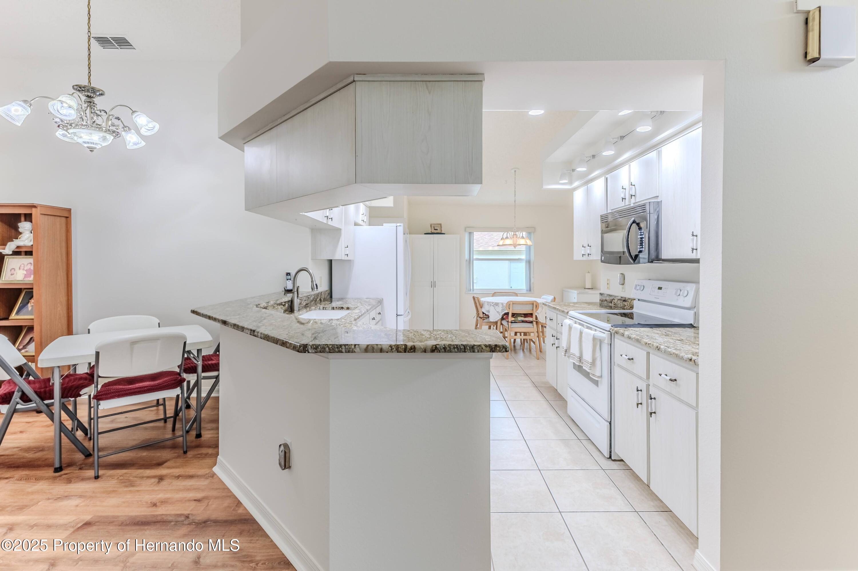 460 Wedgefield Drive, Spring Hill, Florida image 11