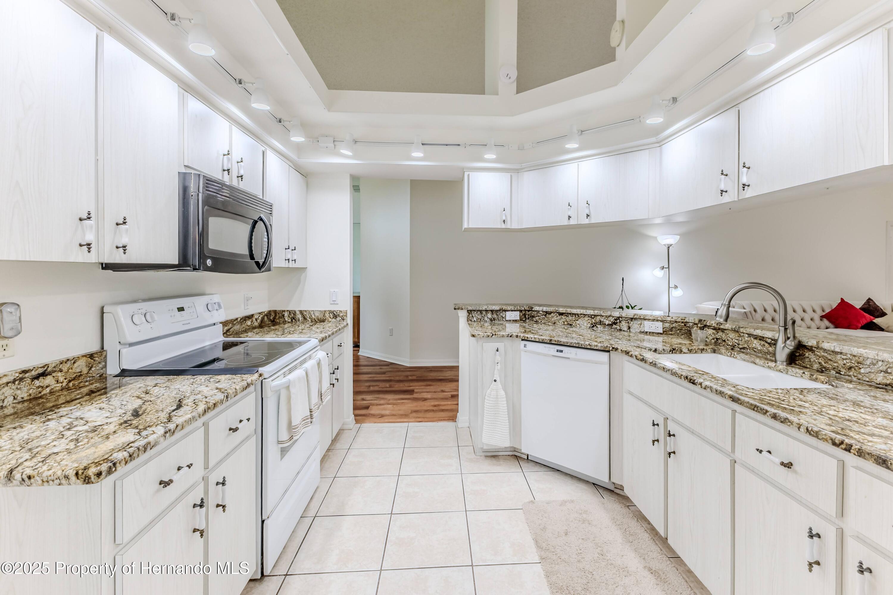 460 Wedgefield Drive, Spring Hill, Florida image 18