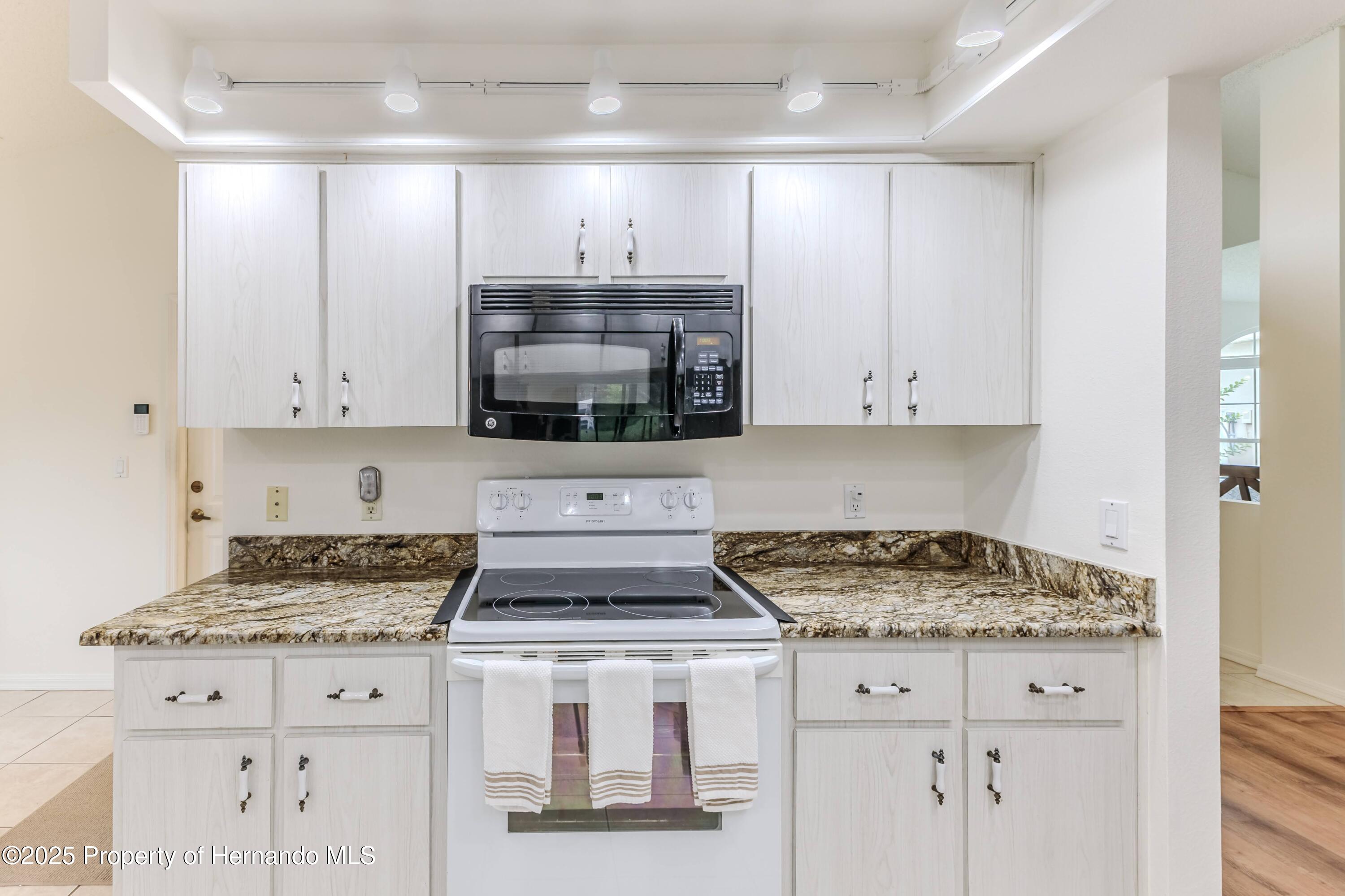 460 Wedgefield Drive, Spring Hill, Florida image 14