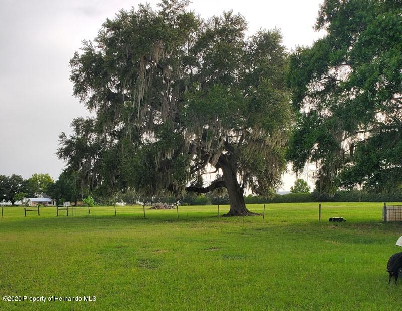 11152 Old Pasco Road, San Antonio, Florida image 15