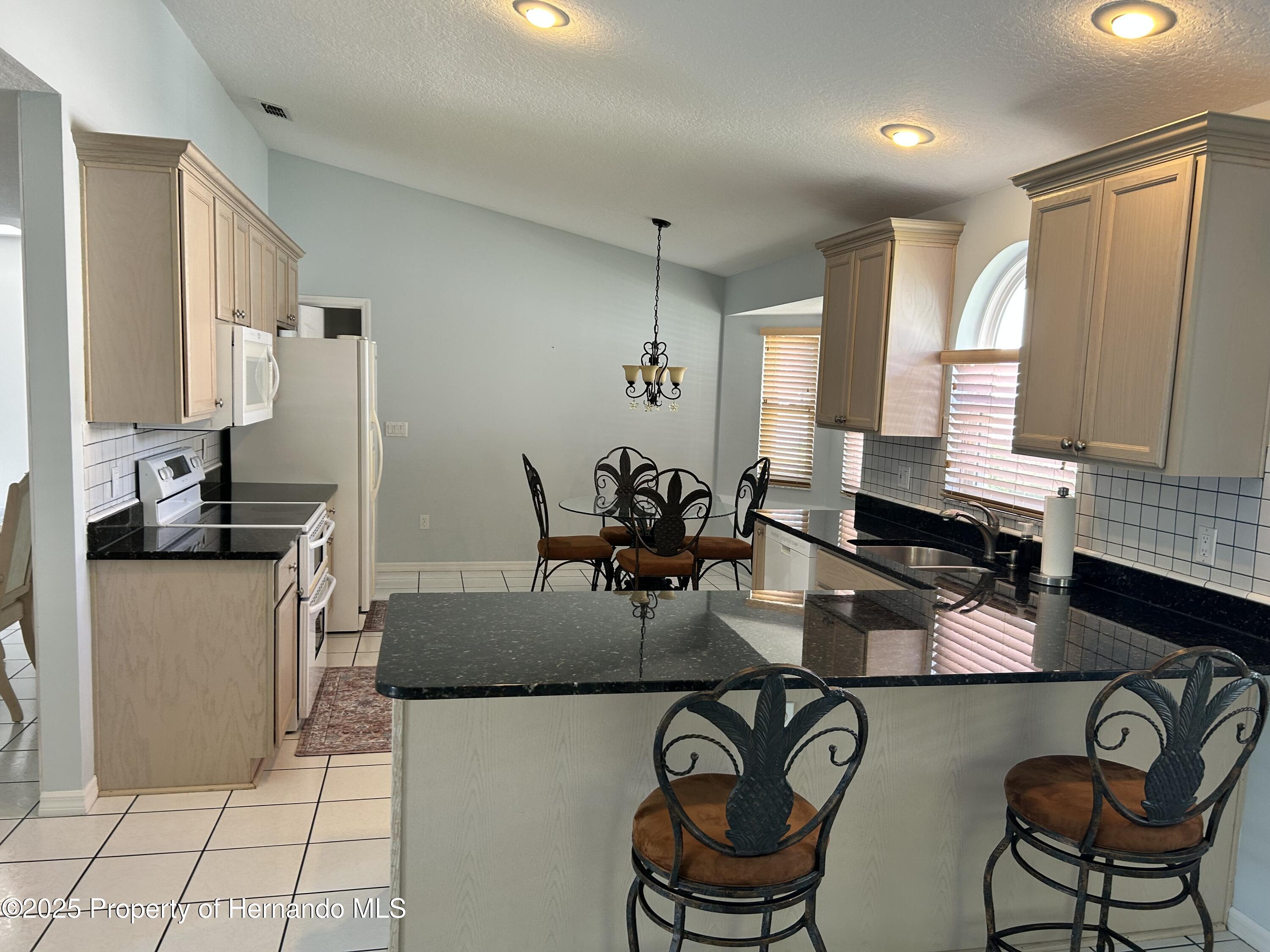 10519 Audie Brook Drive Drive, Spring Hill, Florida image 20