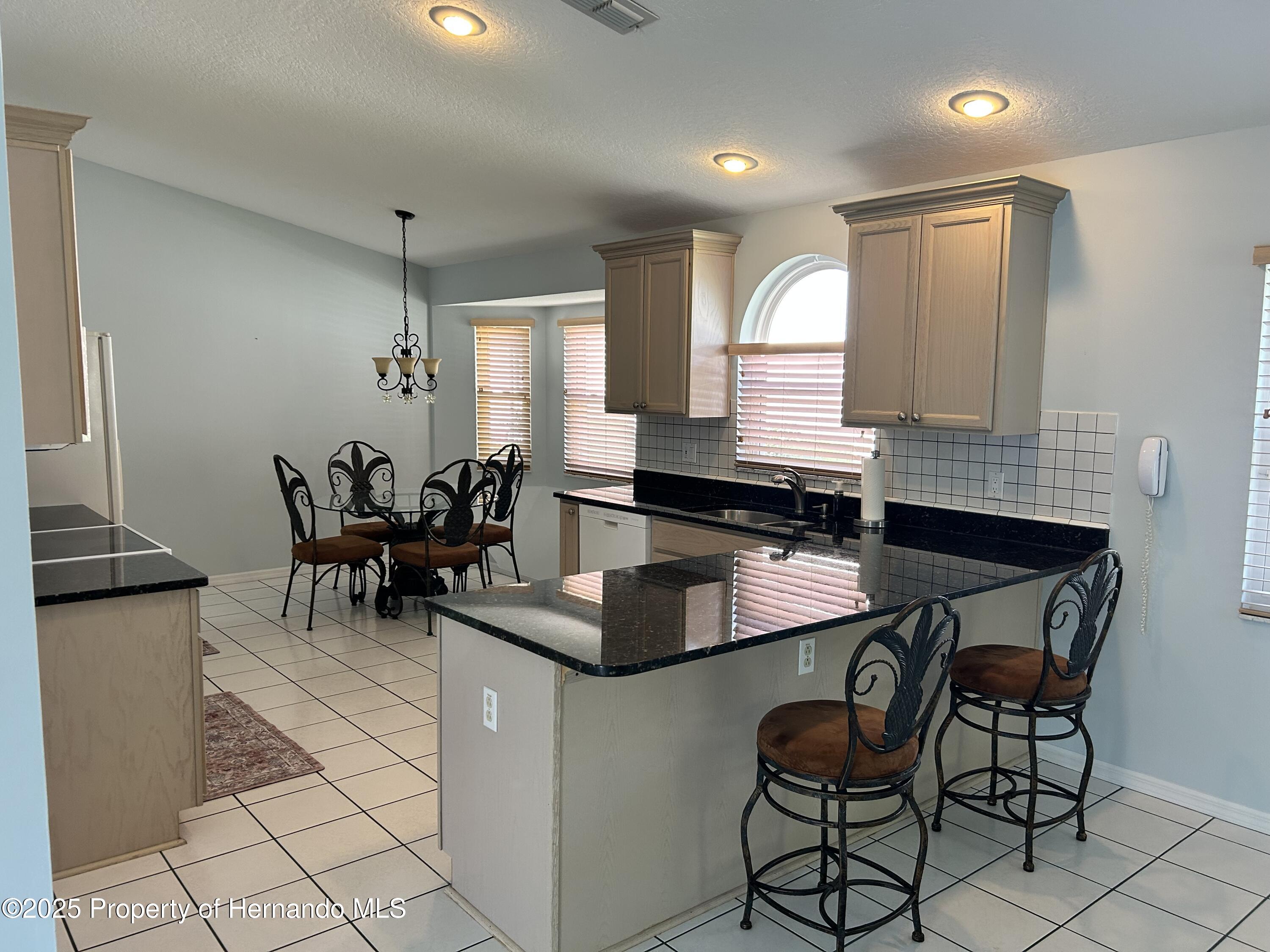 10519 Audie Brook Drive Drive, Spring Hill, Florida image 19