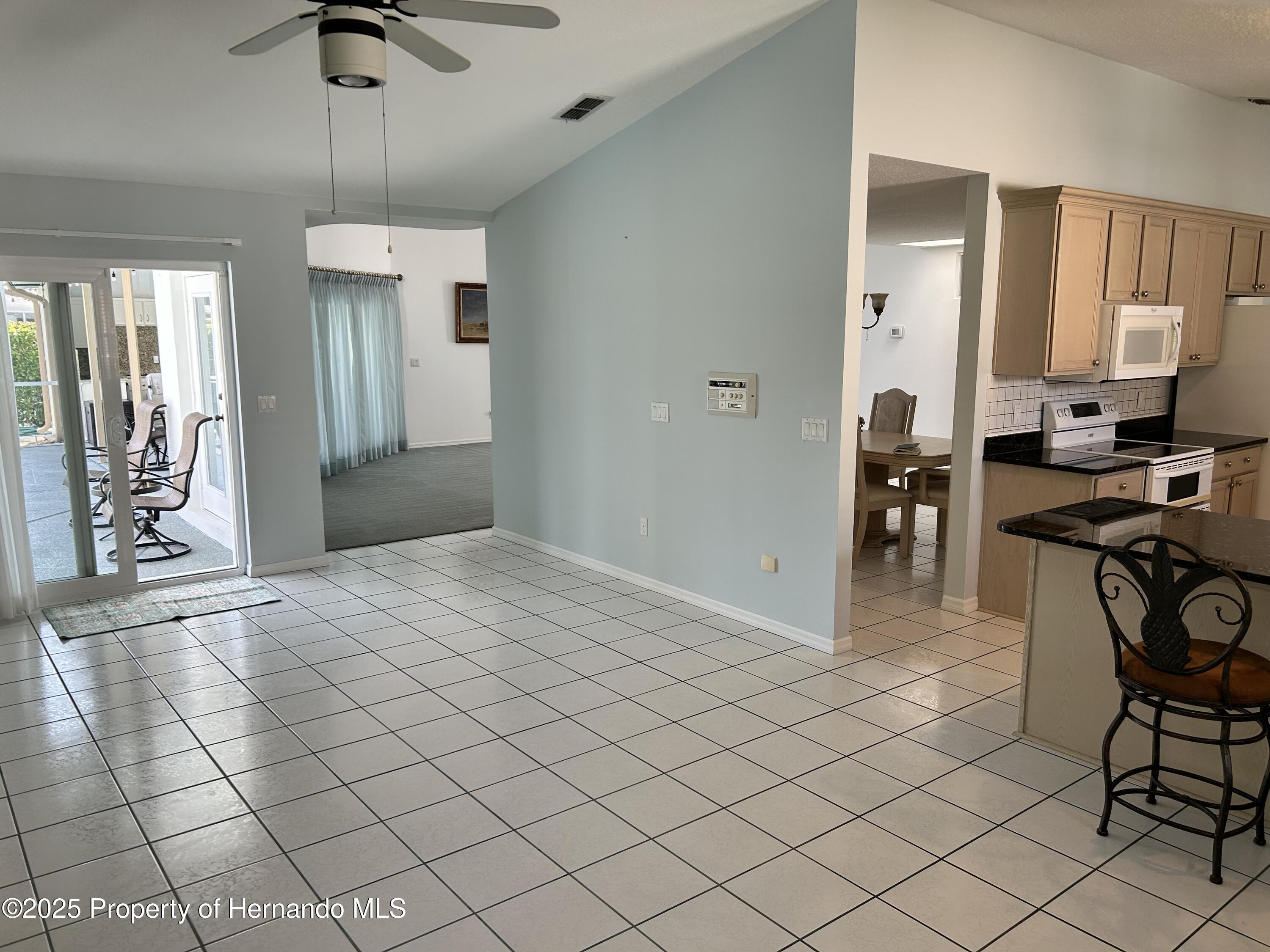 10519 Audie Brook Drive Drive, Spring Hill, Florida image 8