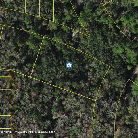 Vacant Land For Sale - 8748 W Elba Place<br/> Homosassa, FL 34448