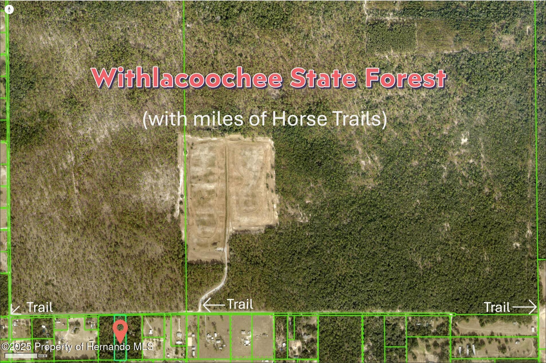 Wildlife Lane, Brooksville, Florida image 2