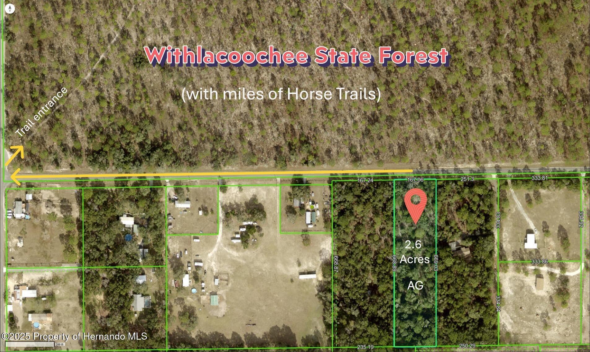 Wildlife Lane, Brooksville, Florida image 1