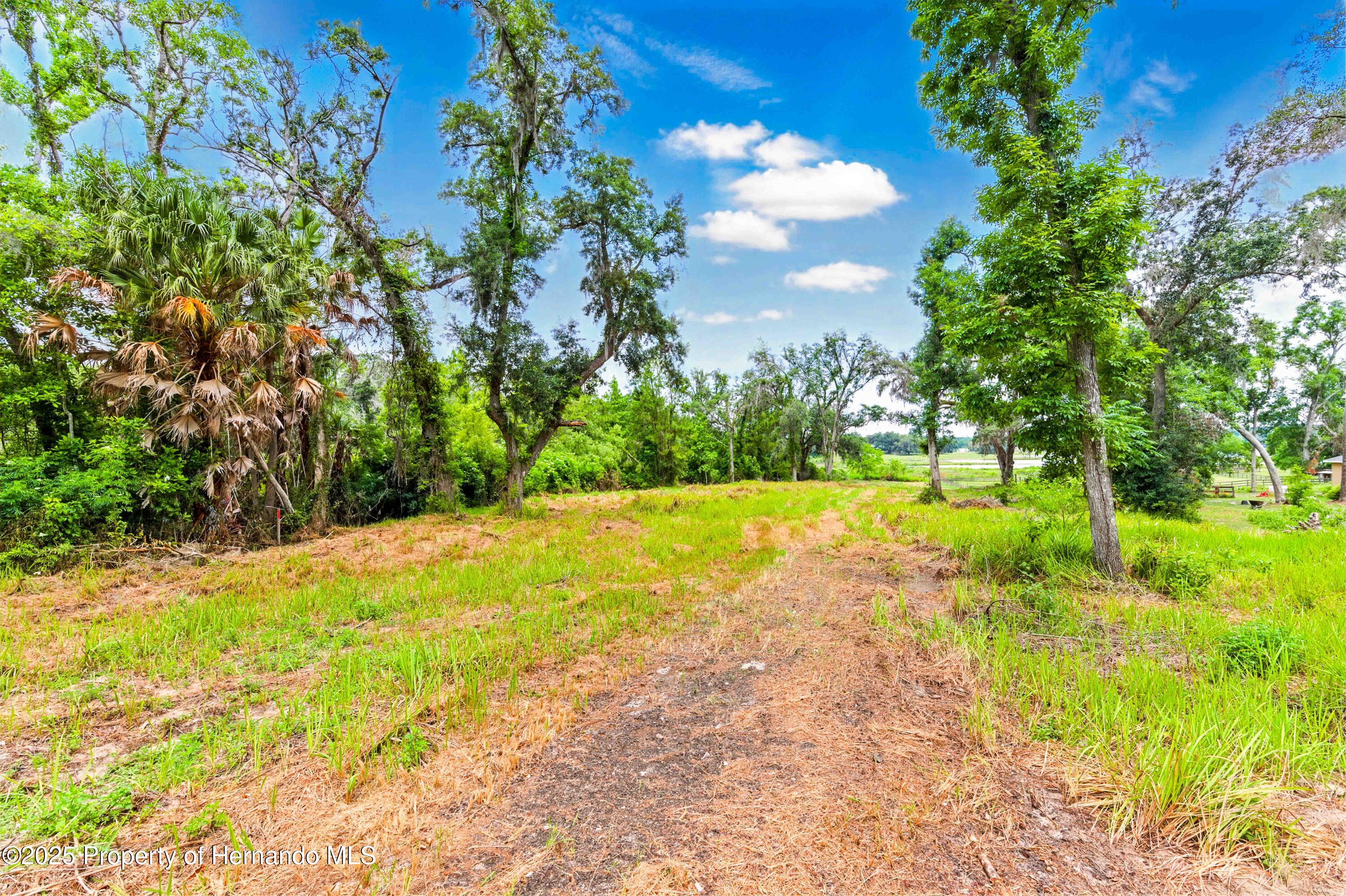 Dan Brown Hill Road, Brooksville, Florida image 5