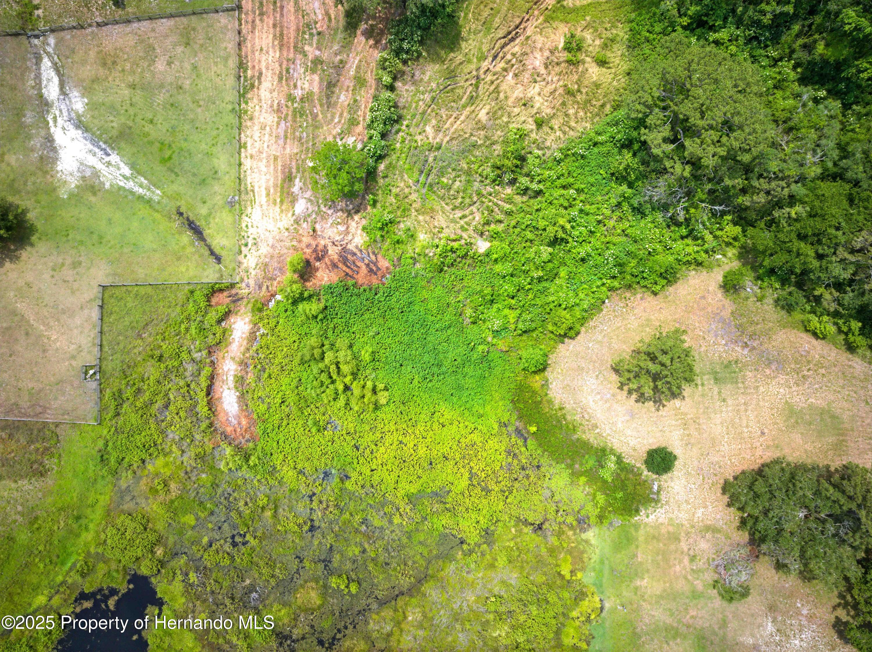Dan Brown Hill Road, Brooksville, Florida image 17