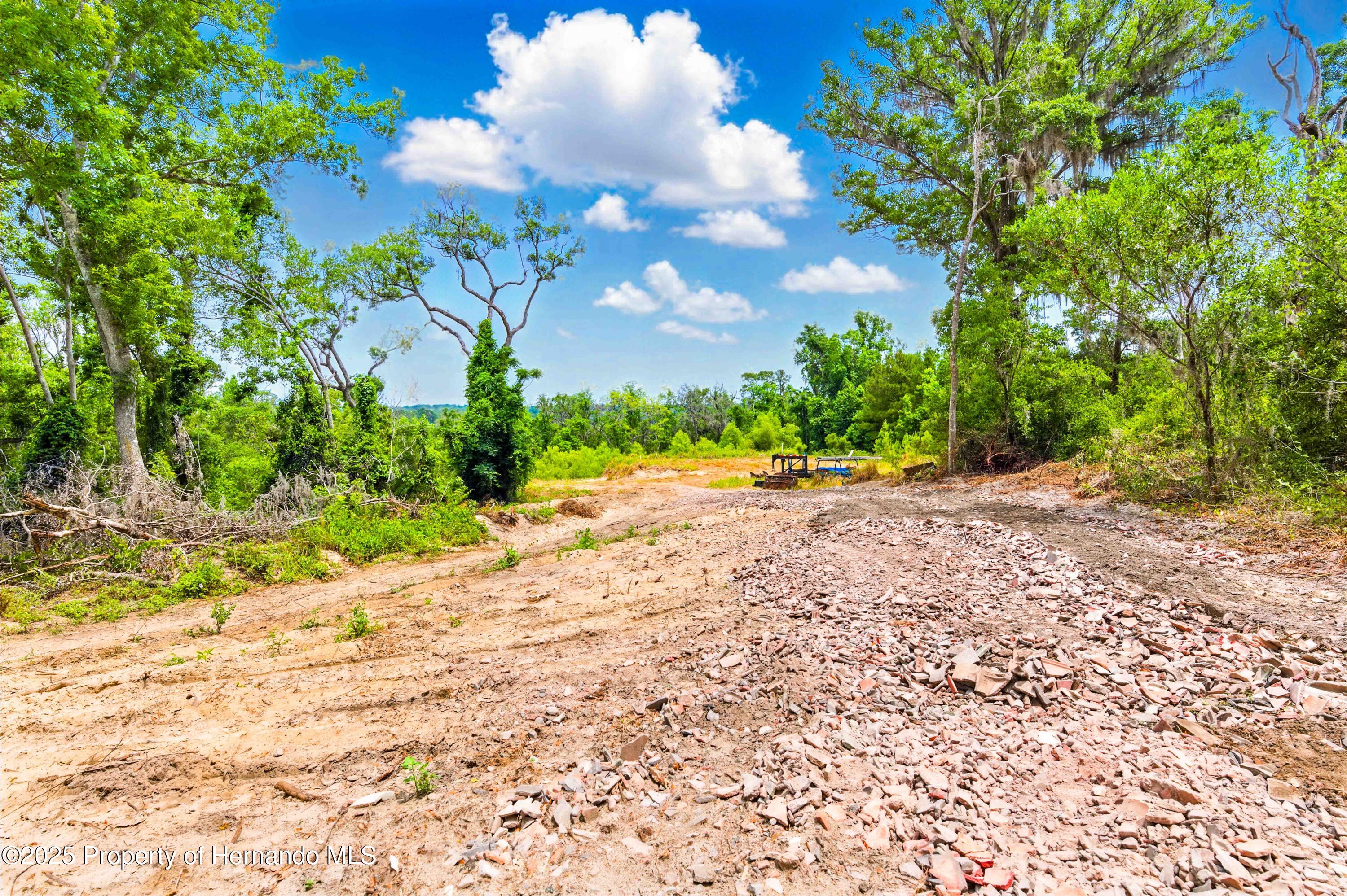 Dan Brown Hill Road, Brooksville, Florida image 2