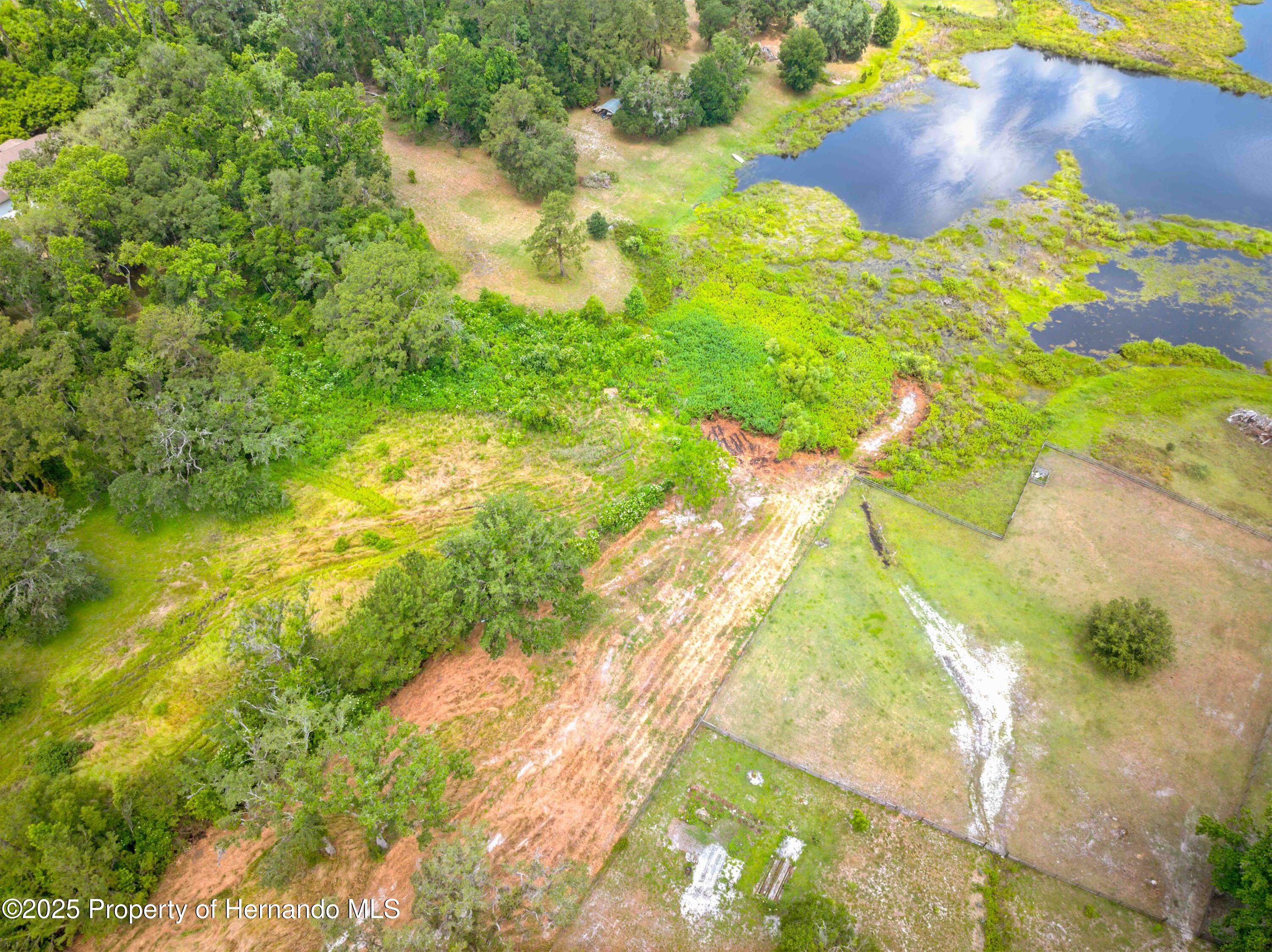 Dan Brown Hill Road, Brooksville, Florida image 15