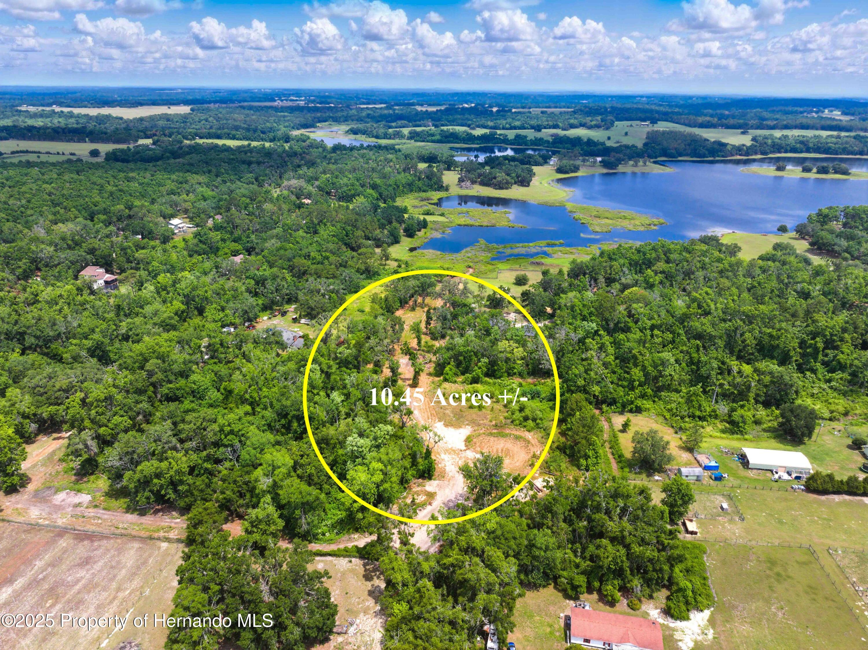 Dan Brown Hill Road, Brooksville, Florida image 10
