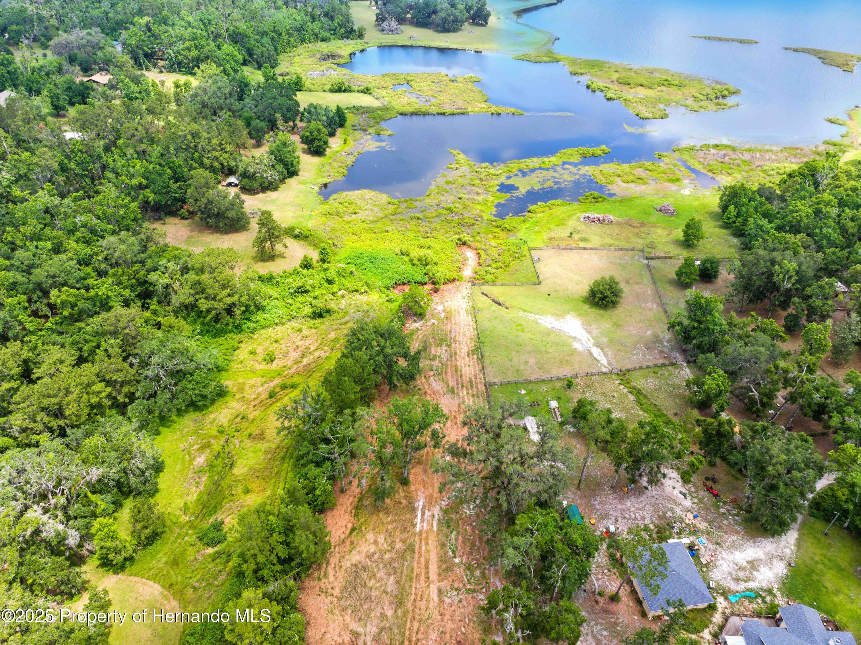 Dan Brown Hill Road, Brooksville, Florida image 12