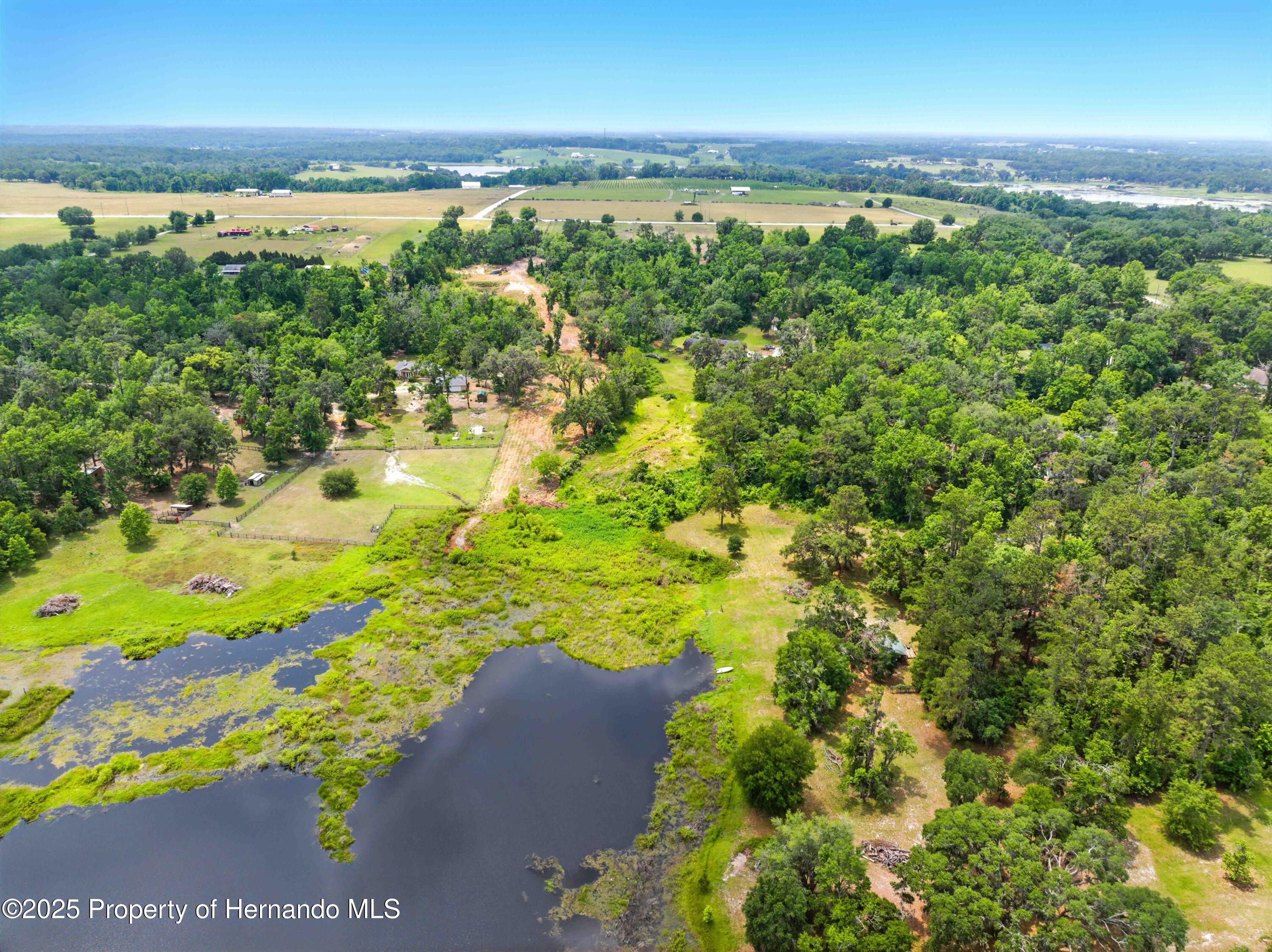 Dan Brown Hill Road, Brooksville, Florida image 16