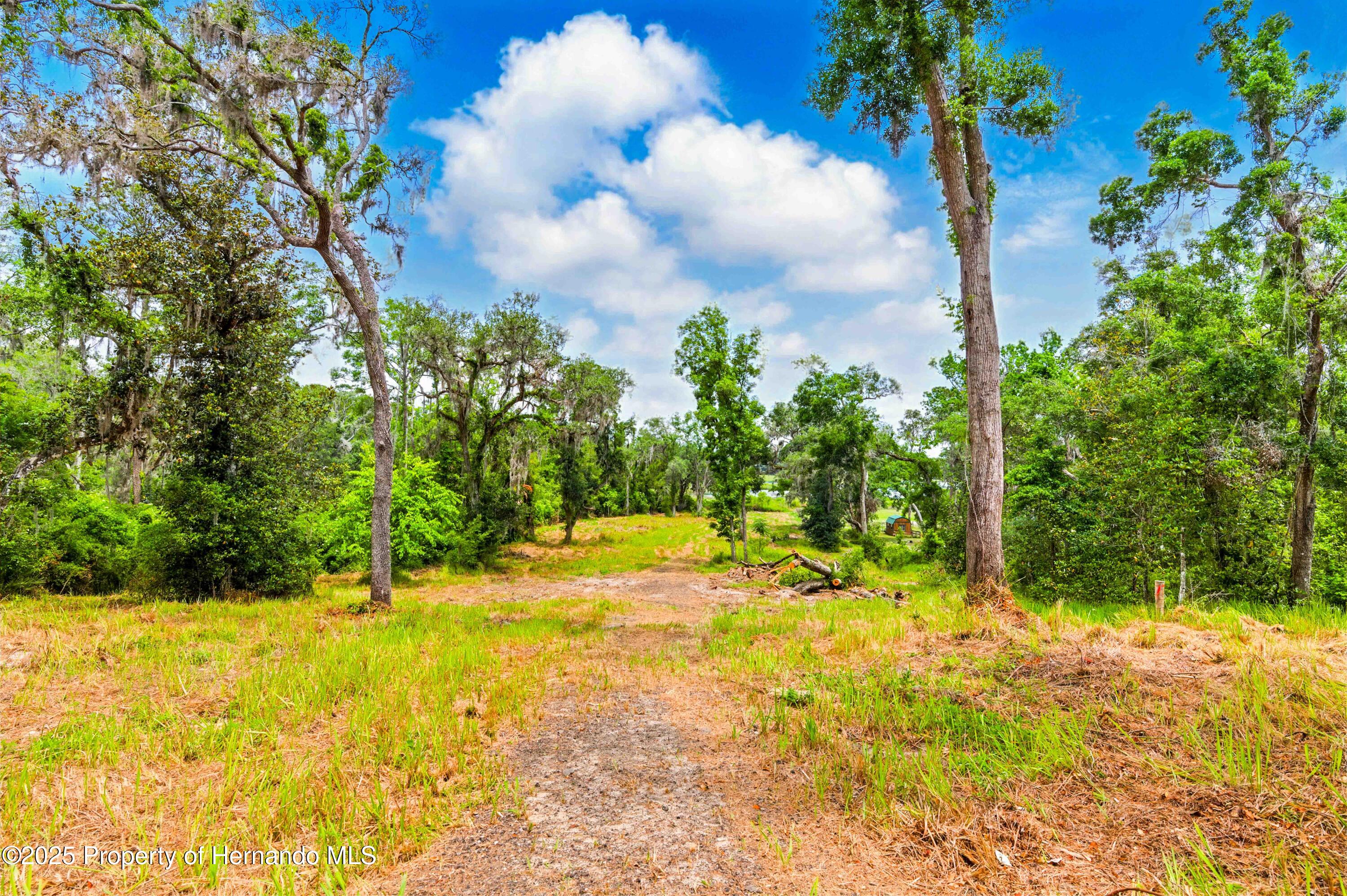 Dan Brown Hill Road, Brooksville, Florida image 4
